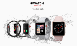 Screen-Shot-2017-09-12-at-3.40.44-PM-300x180.png