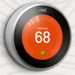 nest-closeup-150x150.jpg