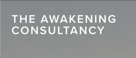 The Awakening Consultancy