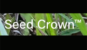 Seed Crown