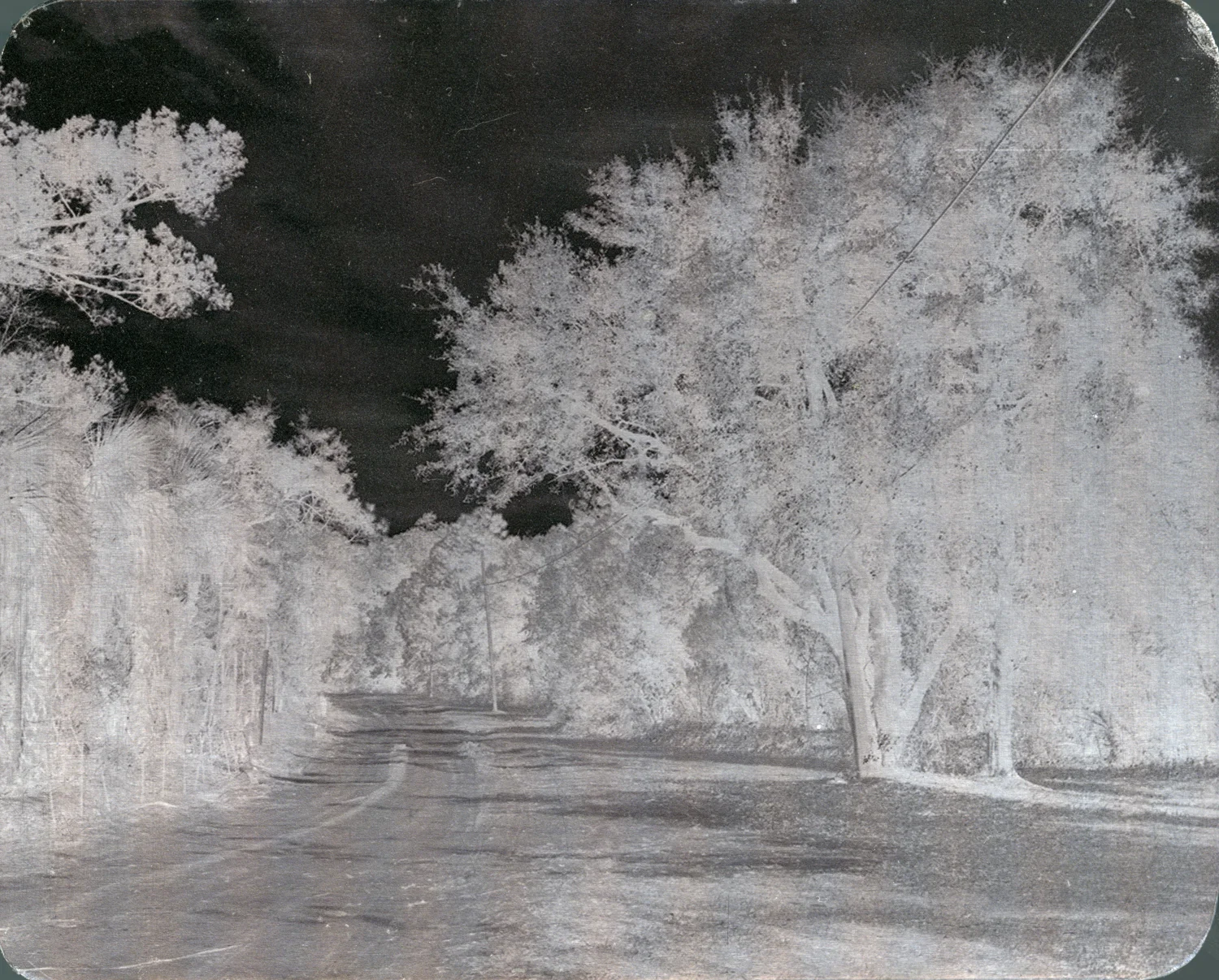 Archival Pigment Print on aluminum. 4"x5".