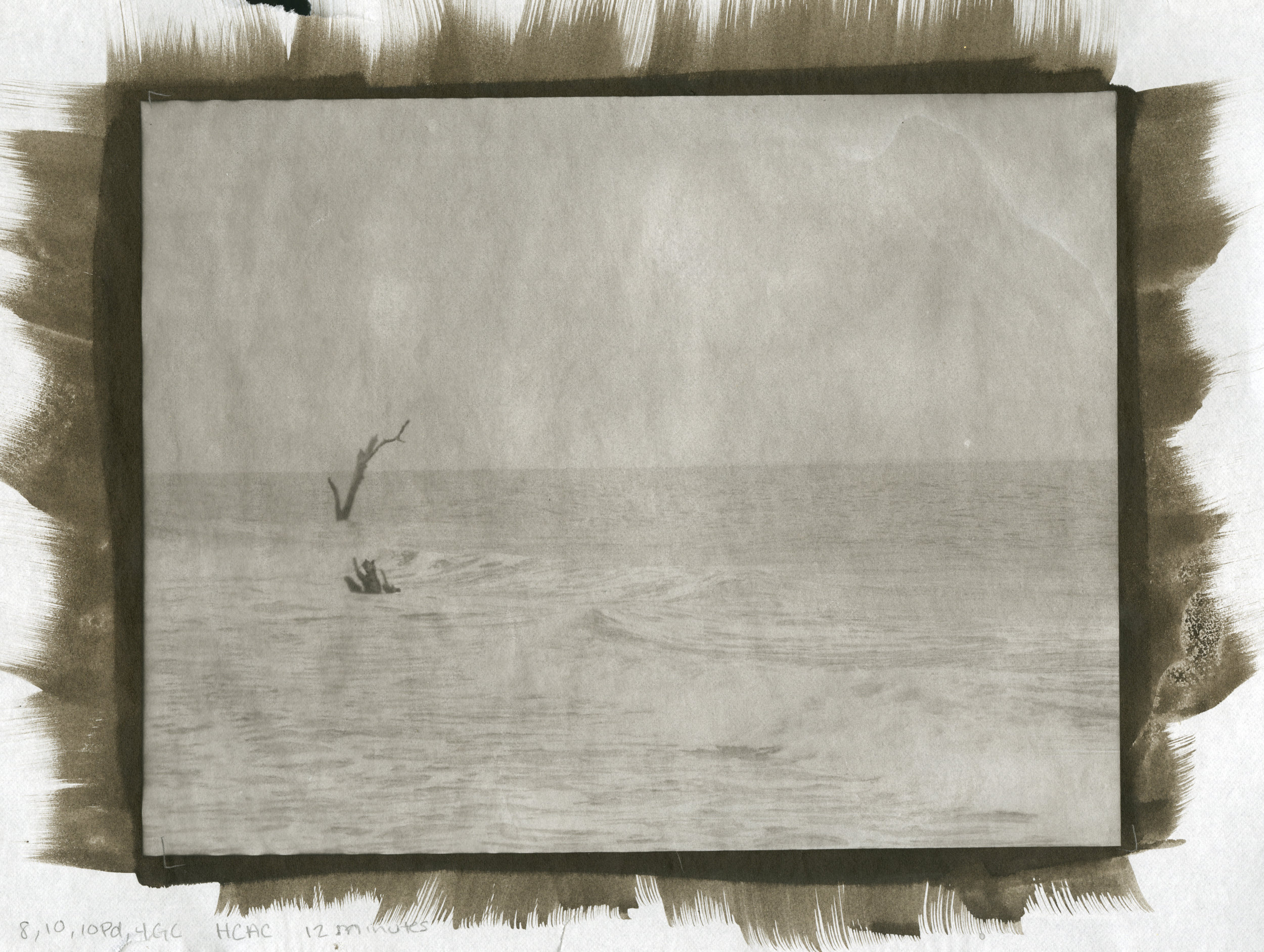 Platinum/Palladium on vellum. 8"x10".