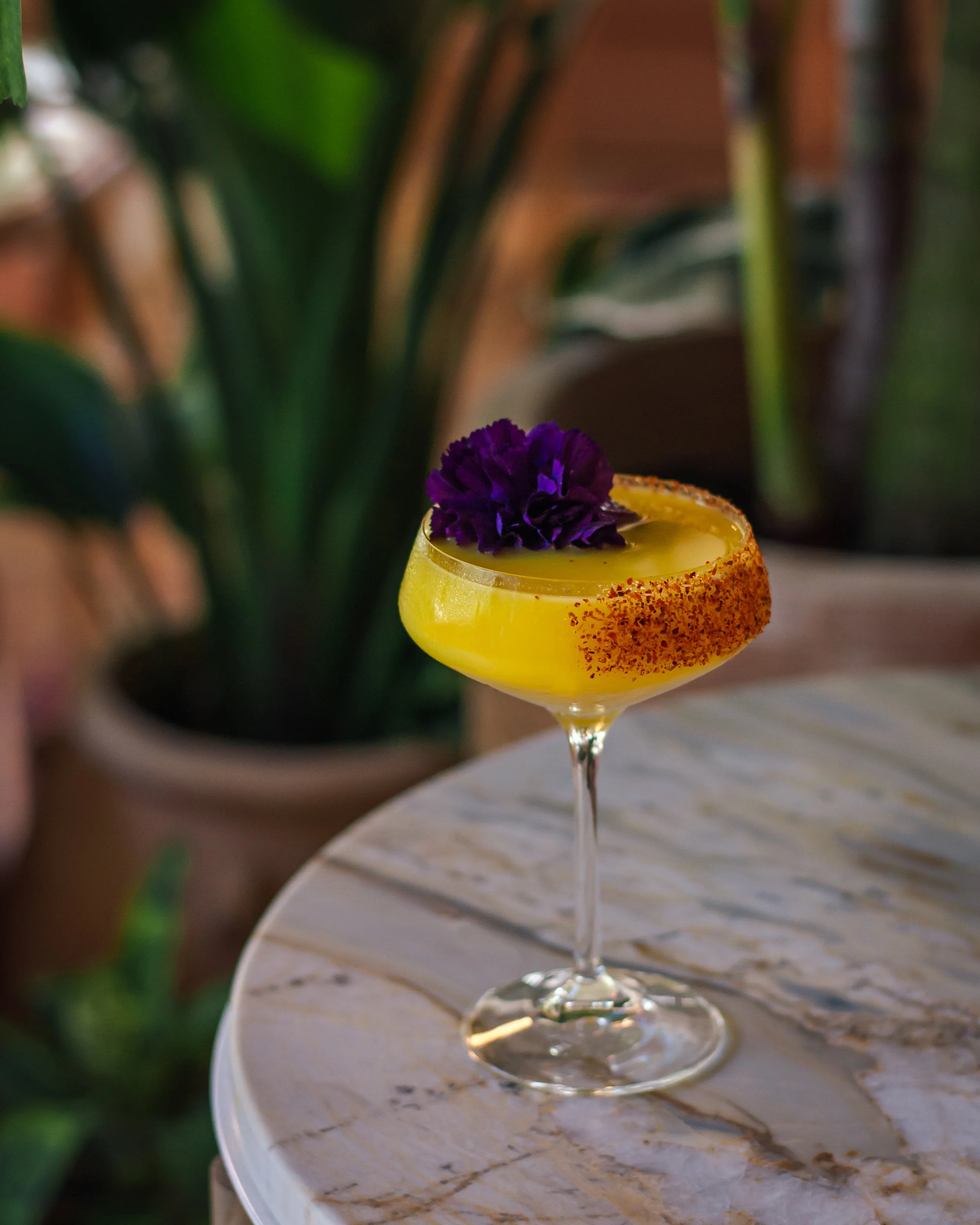Amal Miami, Coconut Grove, Miami, restaurant, food, drinks, cocktails, wine, lebanese food, INK Entertainment Group