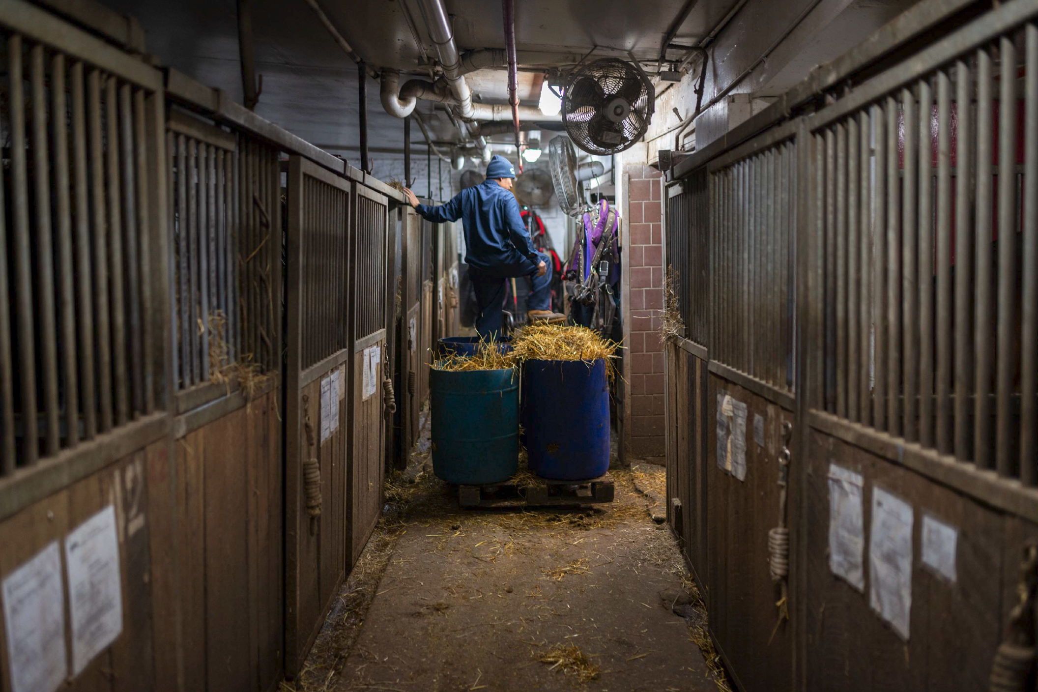  Gasper cleans the stalls in Clinton Park Stable, New York, February 2019. 