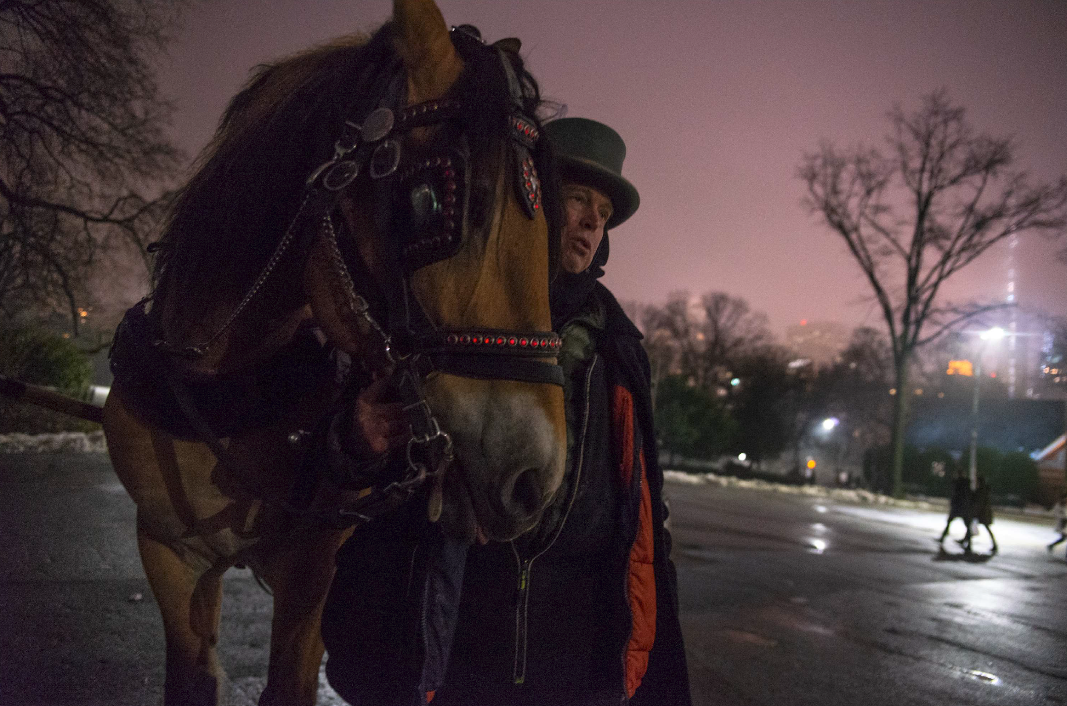  Ariel Fintzi and his horse Whiskey wait for their next ride in front of Tavern on the Green restaurant in Central Park, New York, March 2019. 