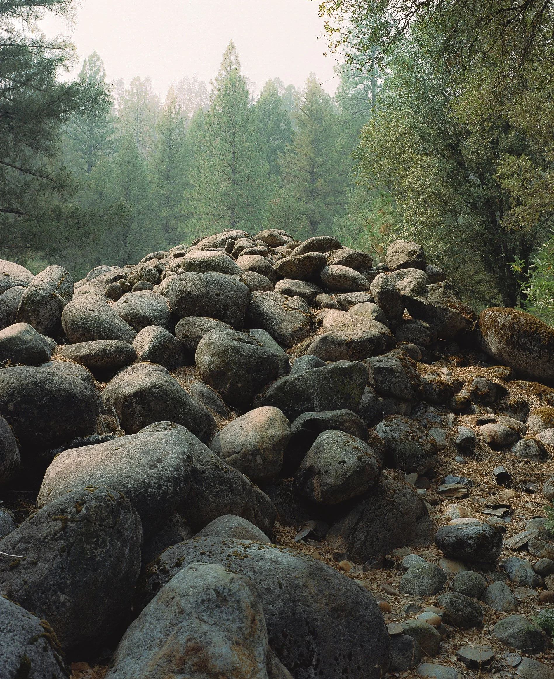 Ben Bloom - A Cow Was Walking Towards a Creek