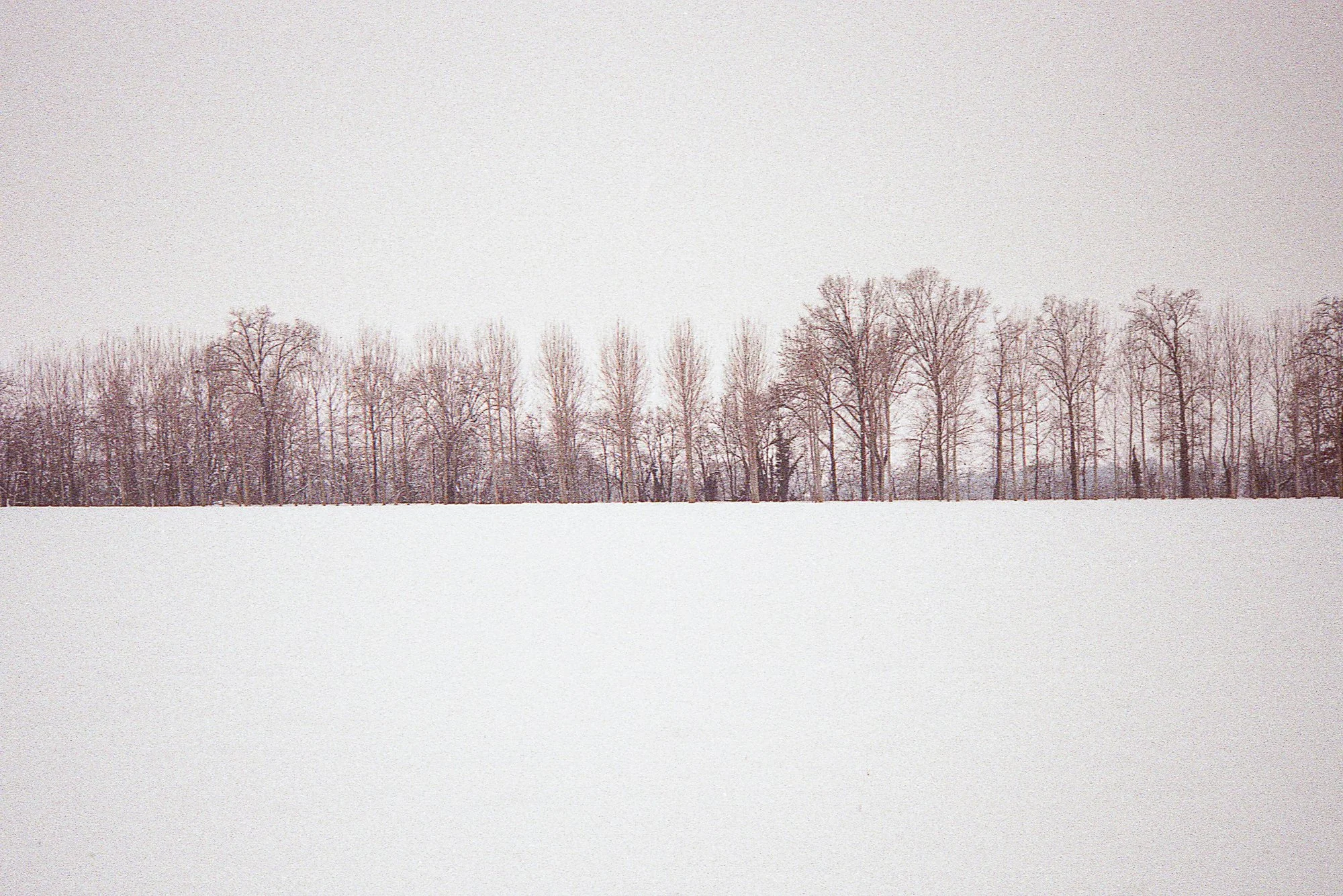 09.jpg