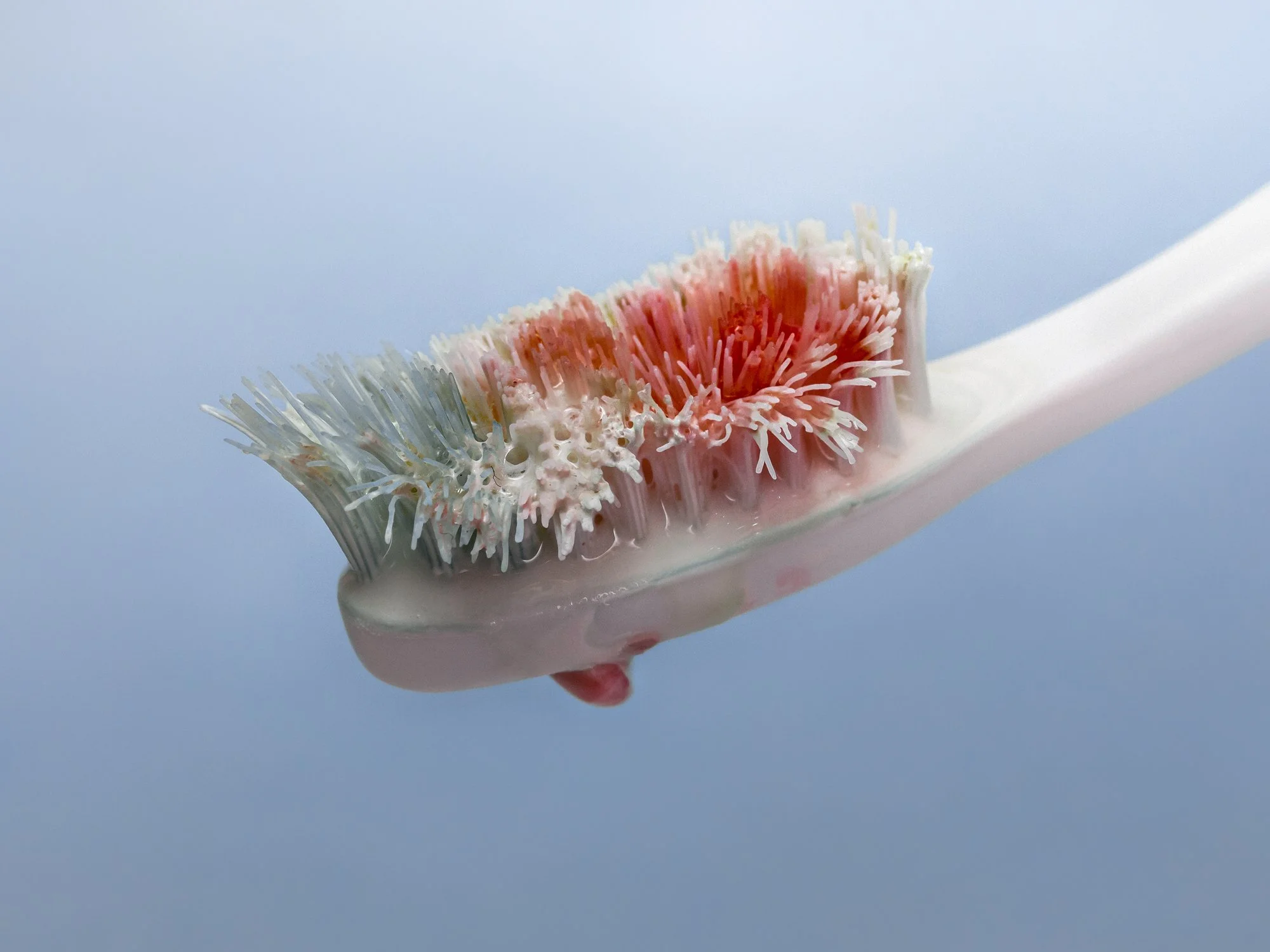 Nika Sandler_A History of Teeth_05.jpg