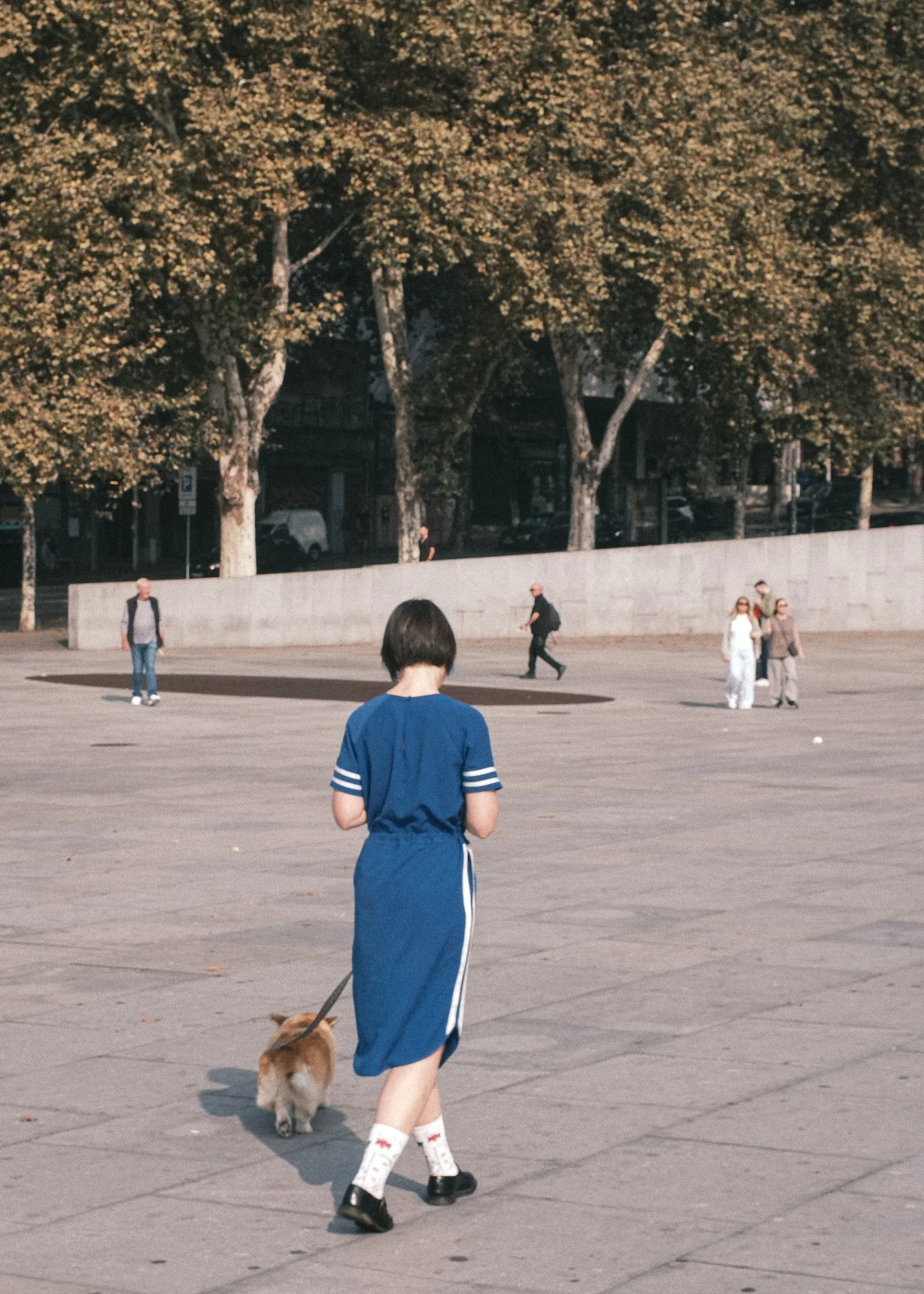 DSCF4320-2ph.jpg