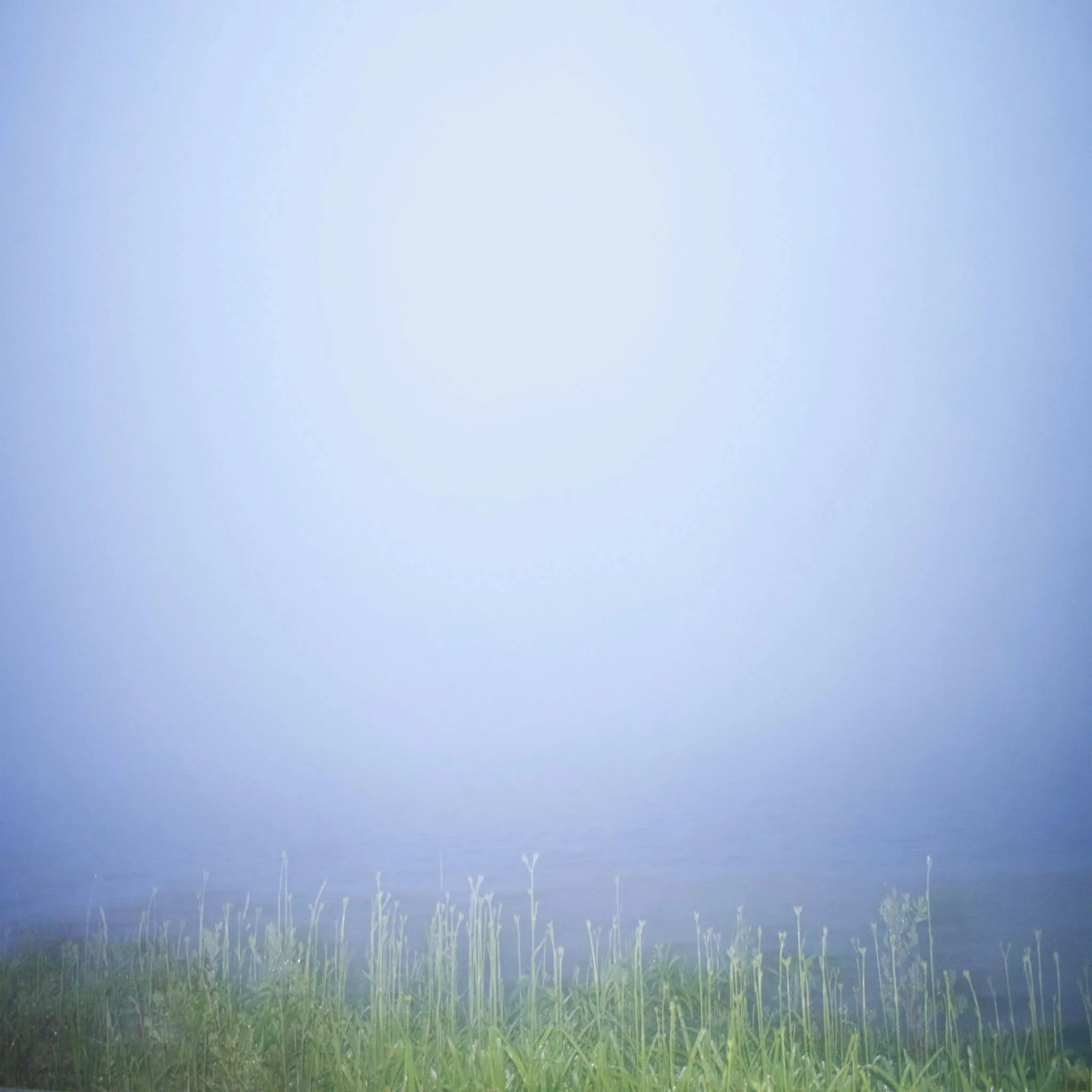 5_ASchupak_Fog-Over-Lake.jpg