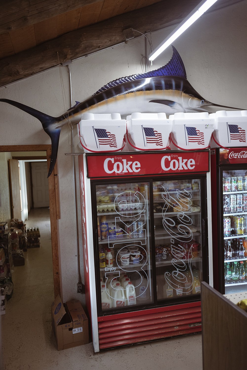 Irene Ferri - No other country but America 6.jpg