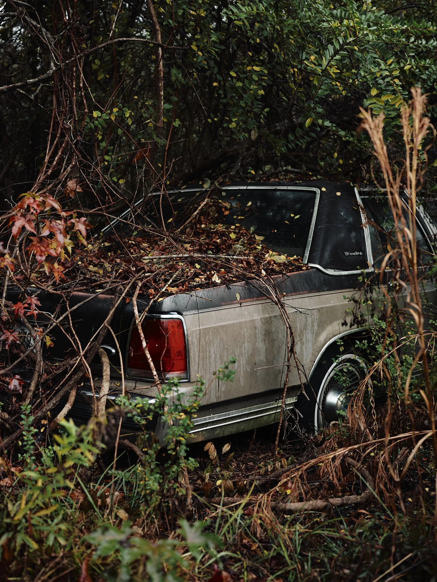 Somewhere In Alabama, 2024.jpg