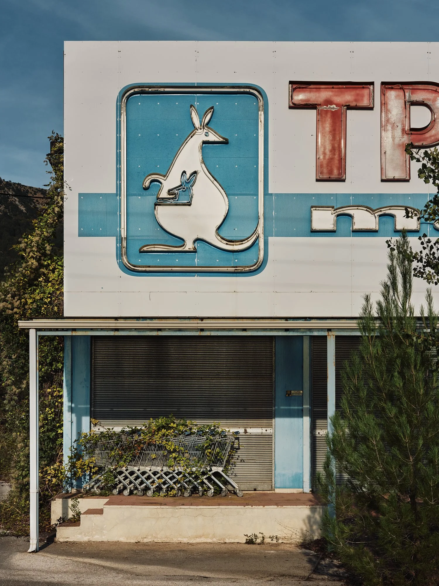 Gone Shopping, 2025.jpg