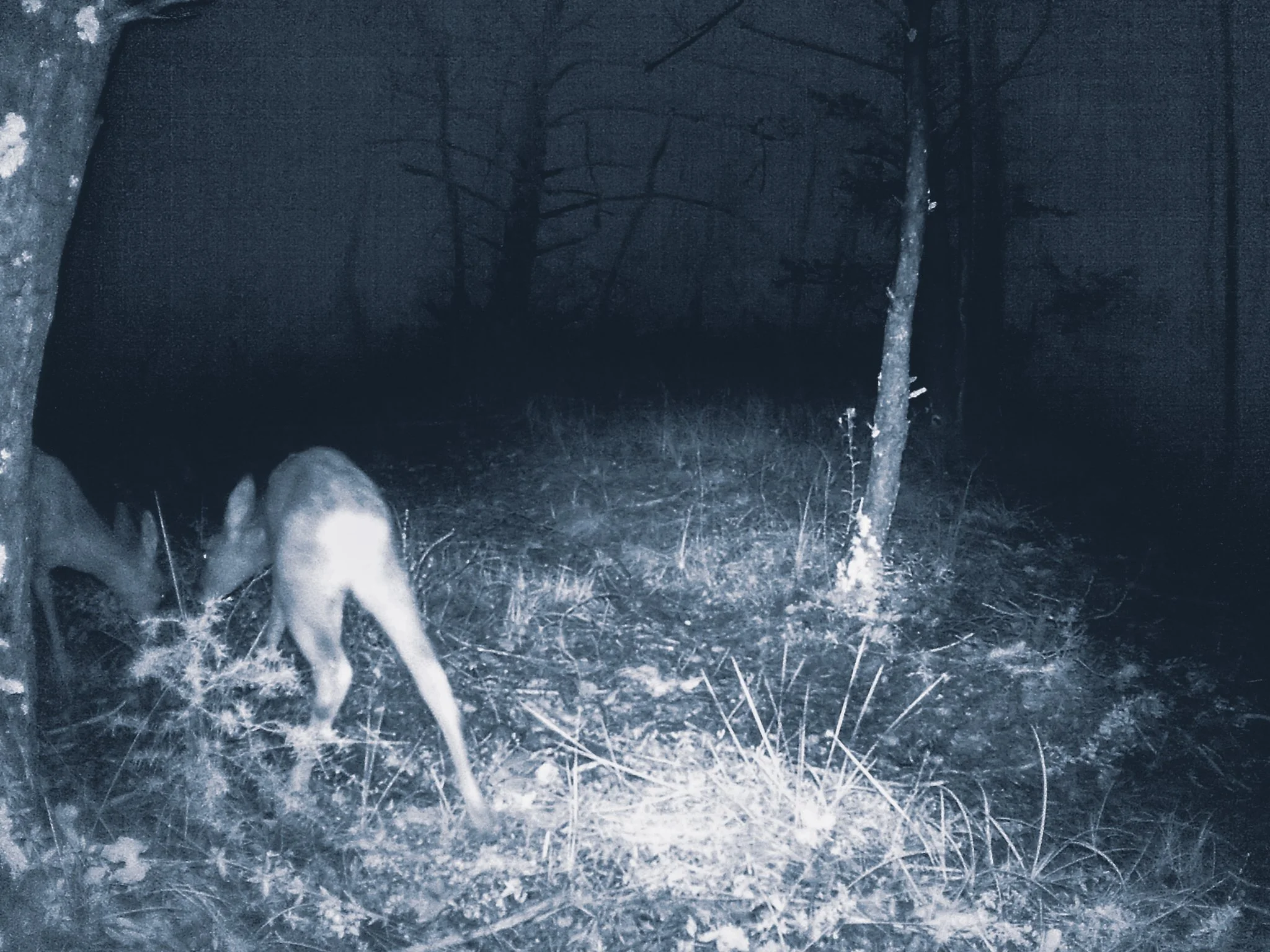 Les Nuits Ouvertes_Léna MARIA_3.jpg