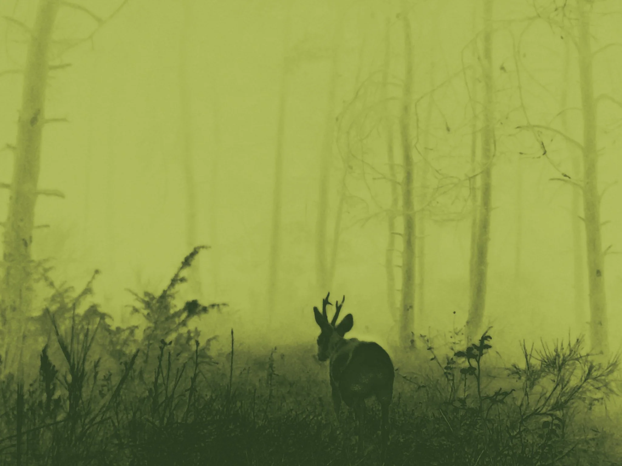 Les Nuits Ouvertes_Léna MARIA_5.jpg