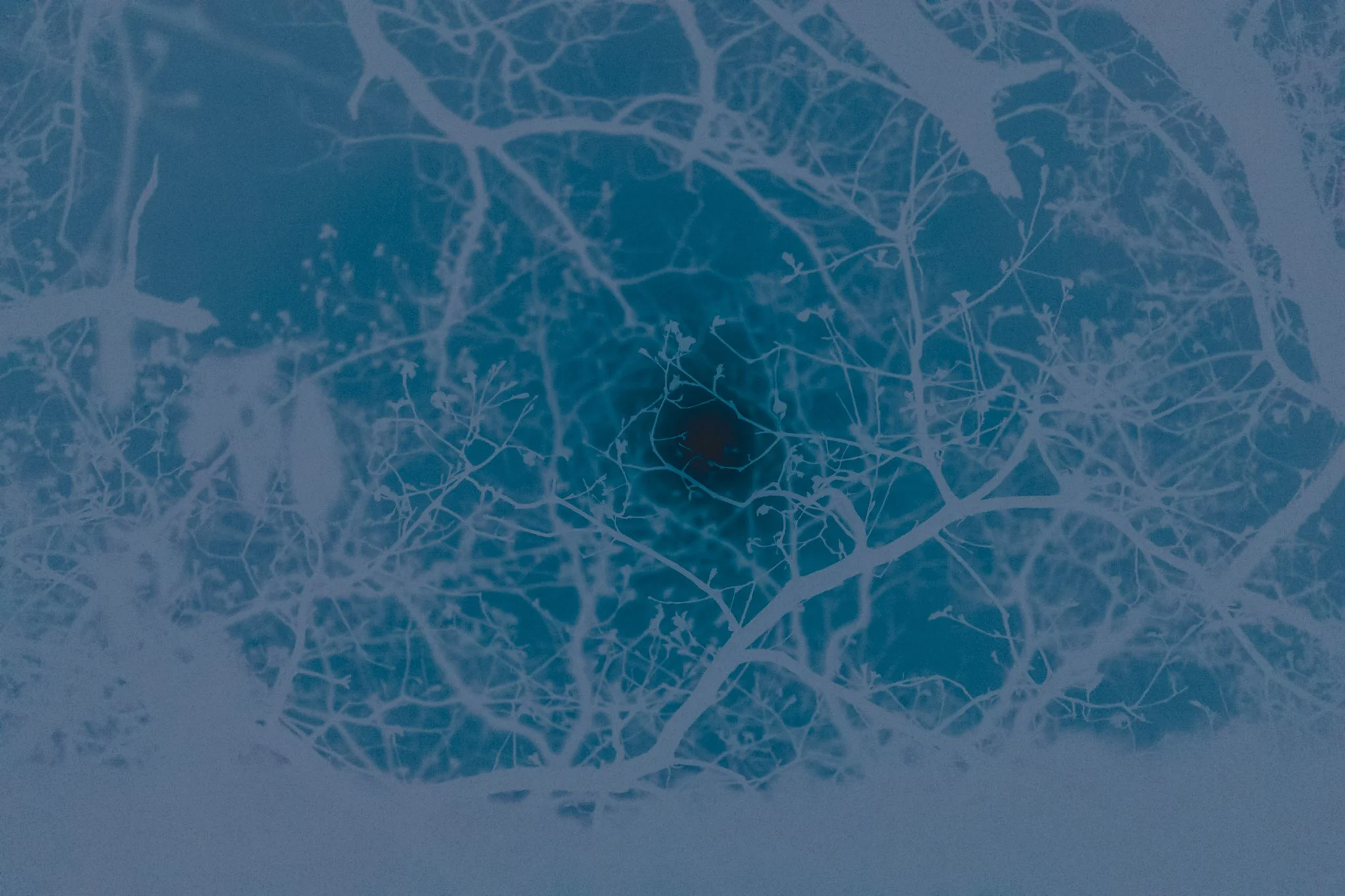 Les Nuits Ouvertes_Léna MARIA_4.jpg