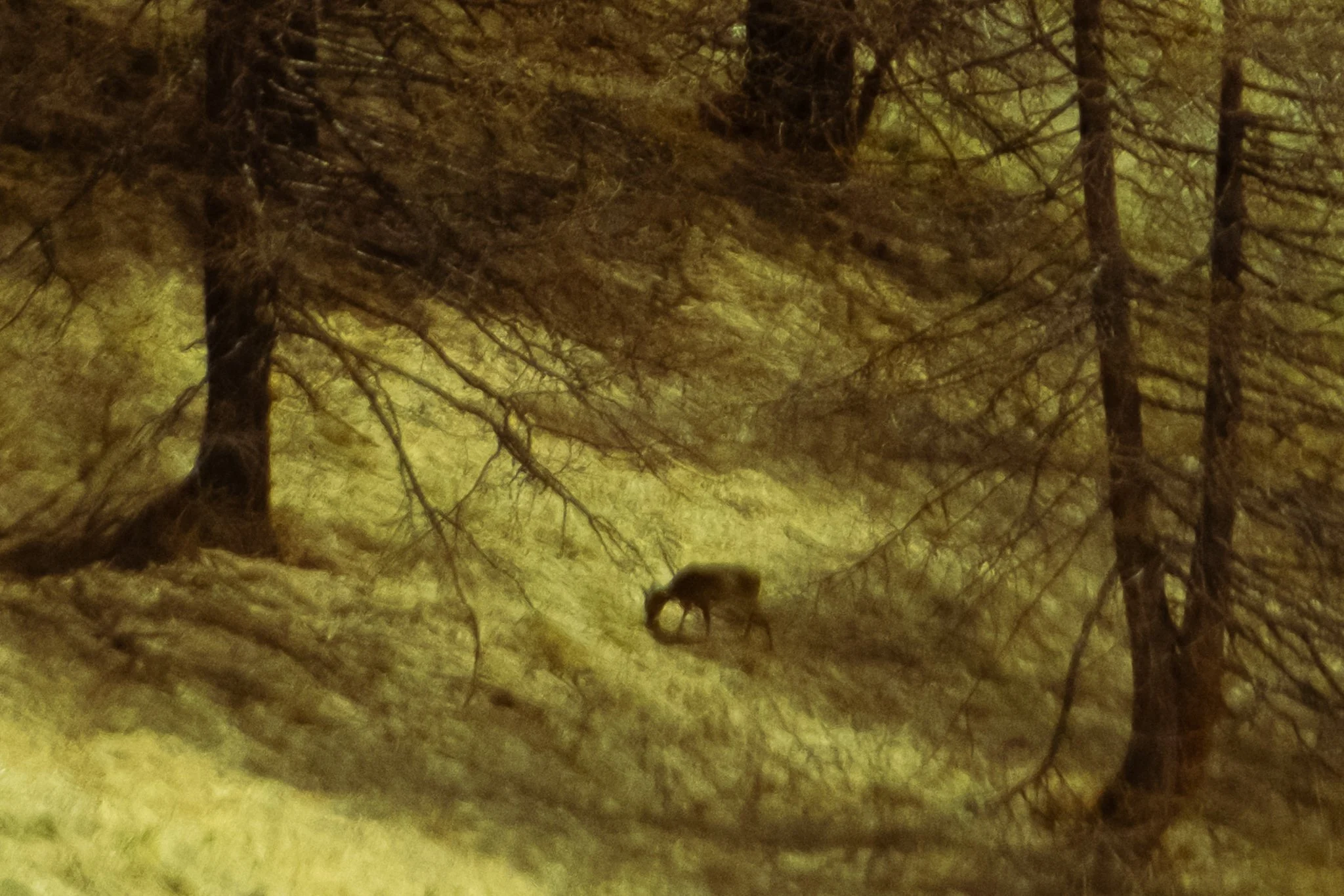 Les Nuits Ouvertes_Léna MARIA_7.jpg