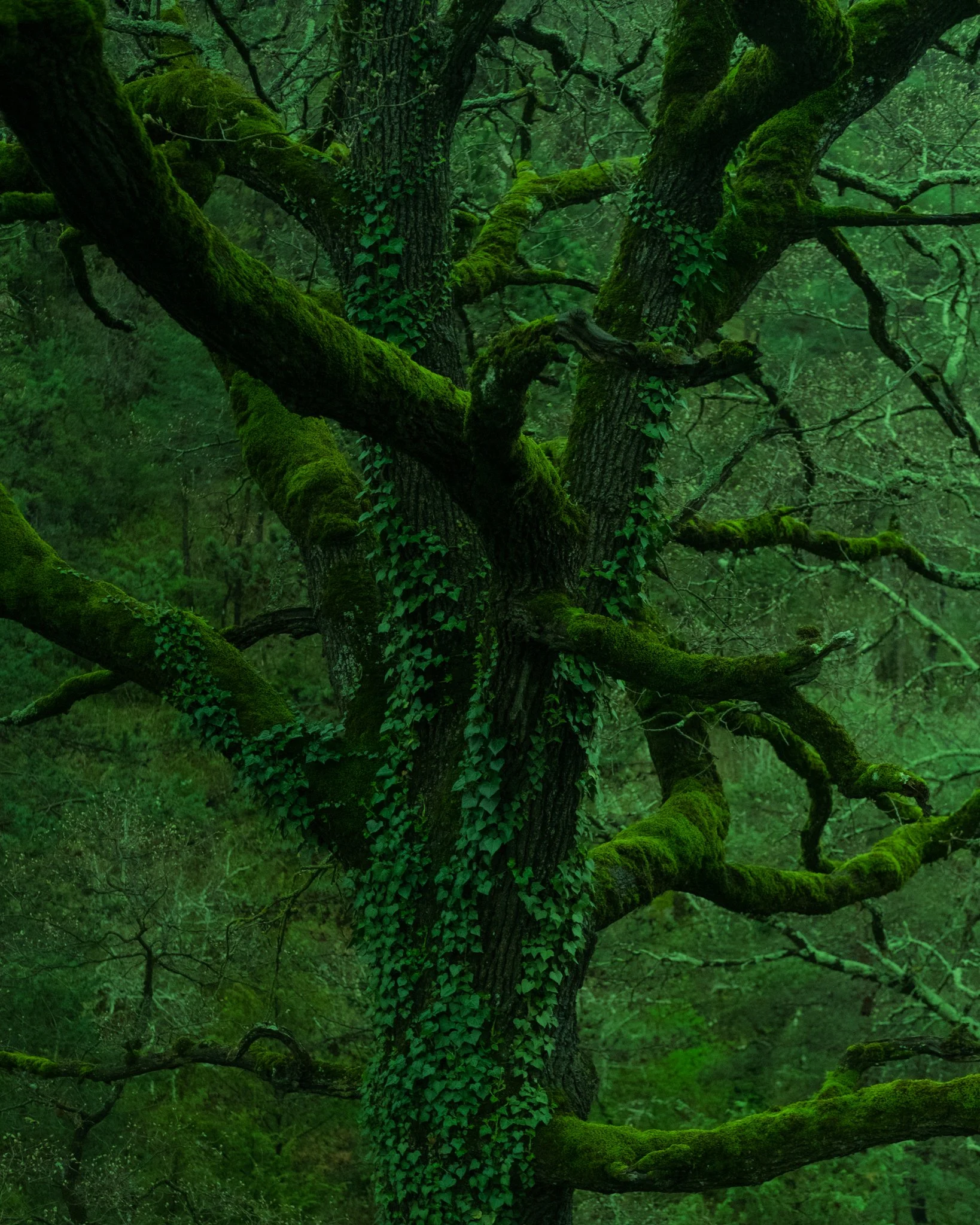 Les Nuits Ouvertes_Léna MARIA_6.jpg