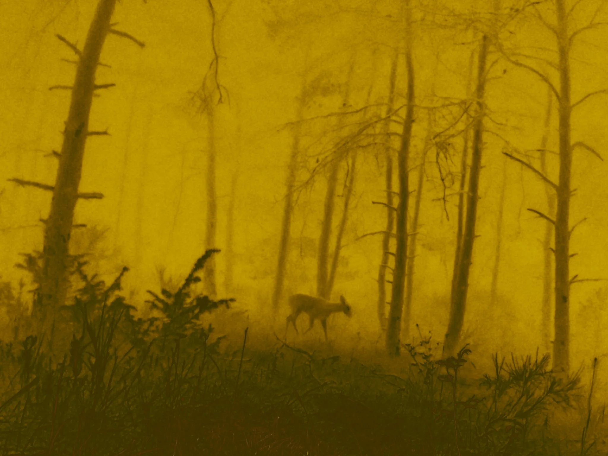 Les Nuits Ouvertes_Léna MARIA_9.jpg