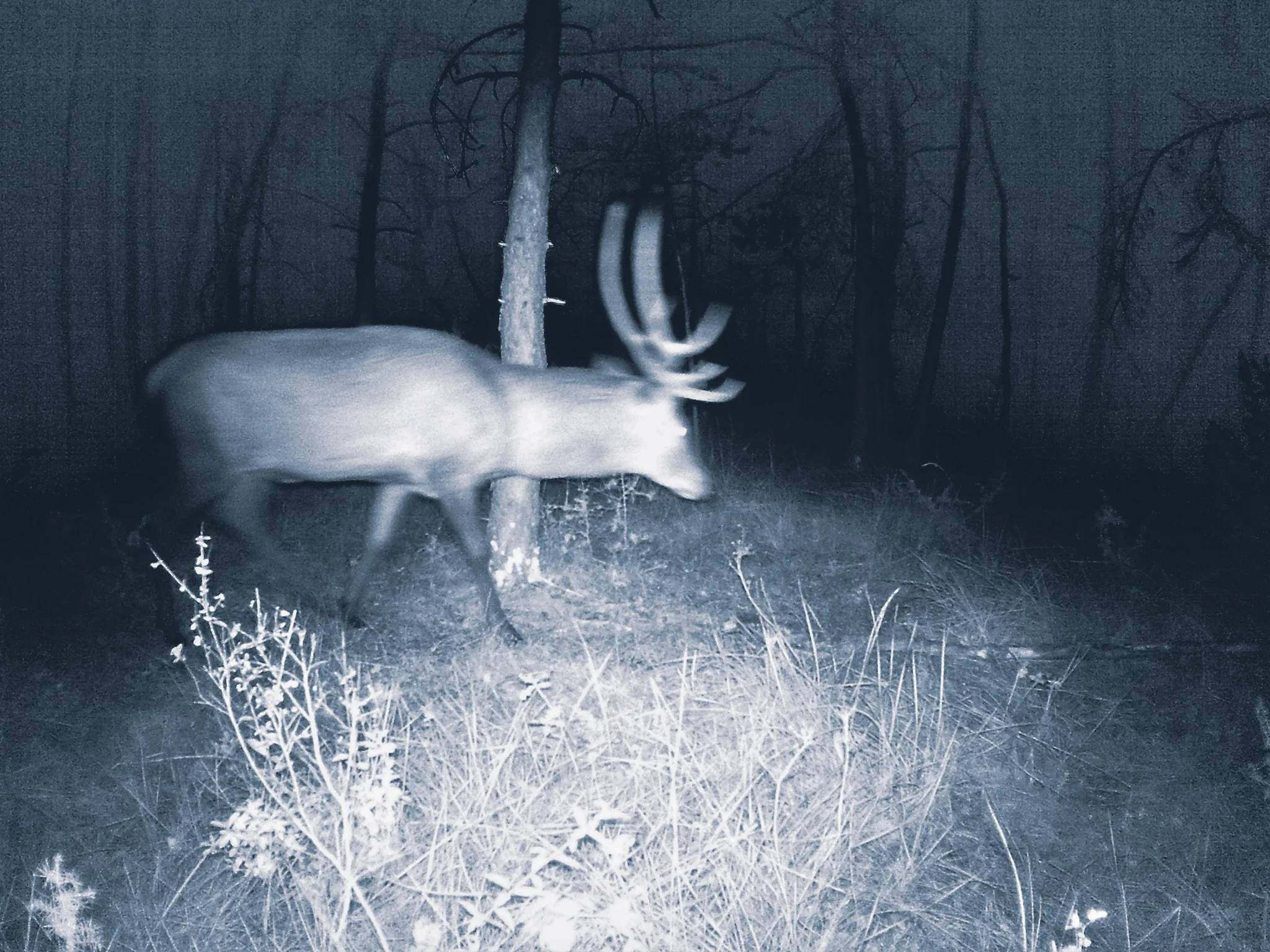 Les Nuits Ouvertes_Léna MARIA_10.jpg