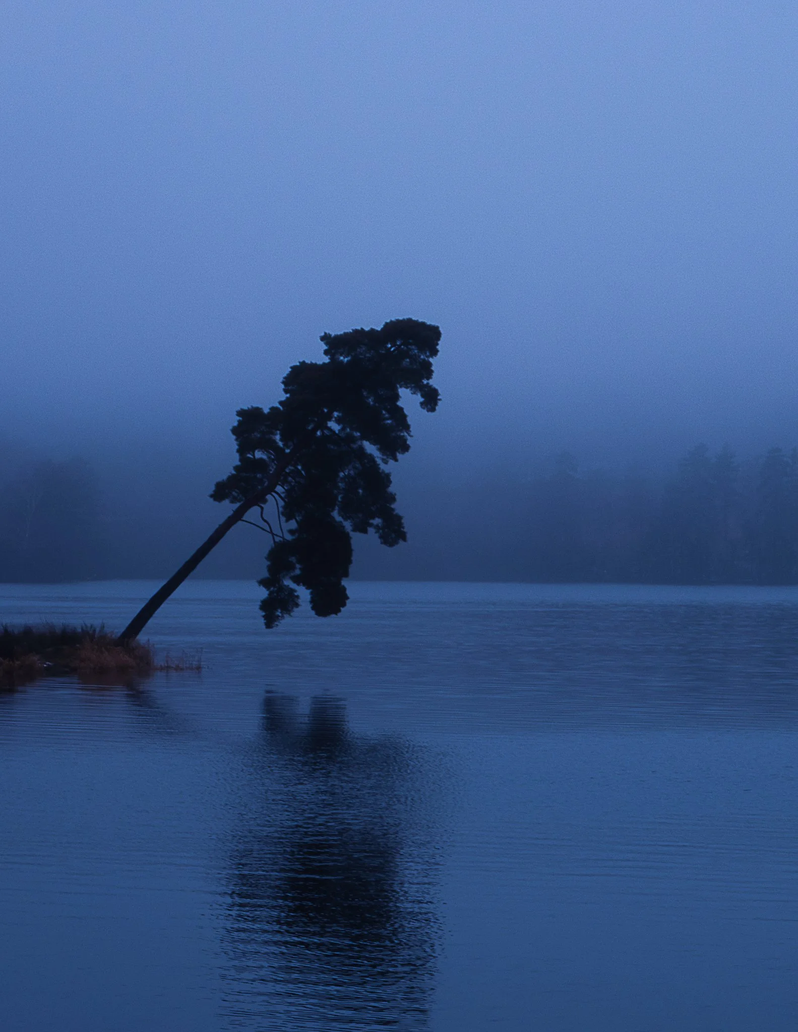 Les Nuits Ouvertes_Léna MARIA_12.jpg