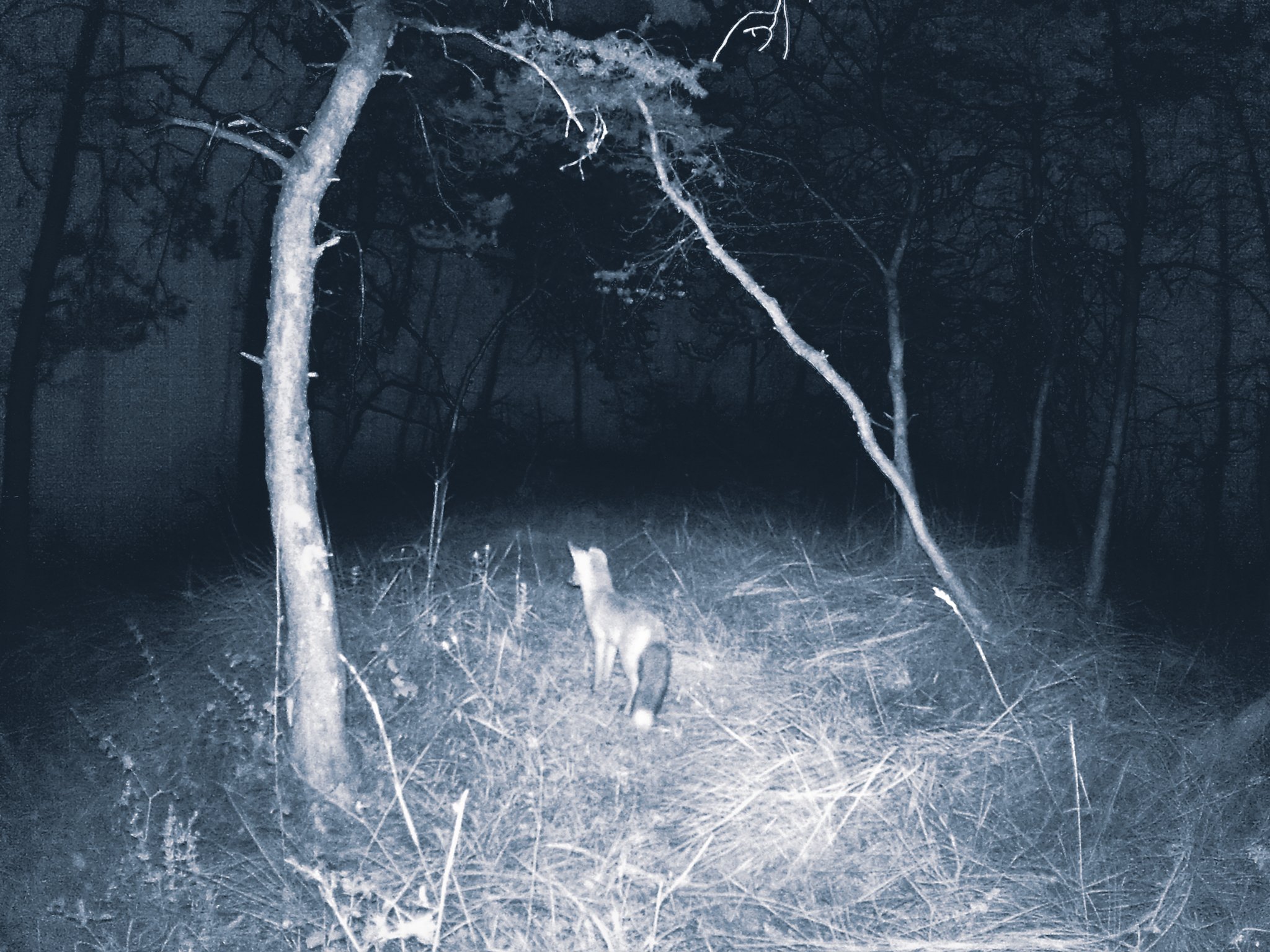 Les Nuits Ouvertes_Léna MARIA_13.jpg