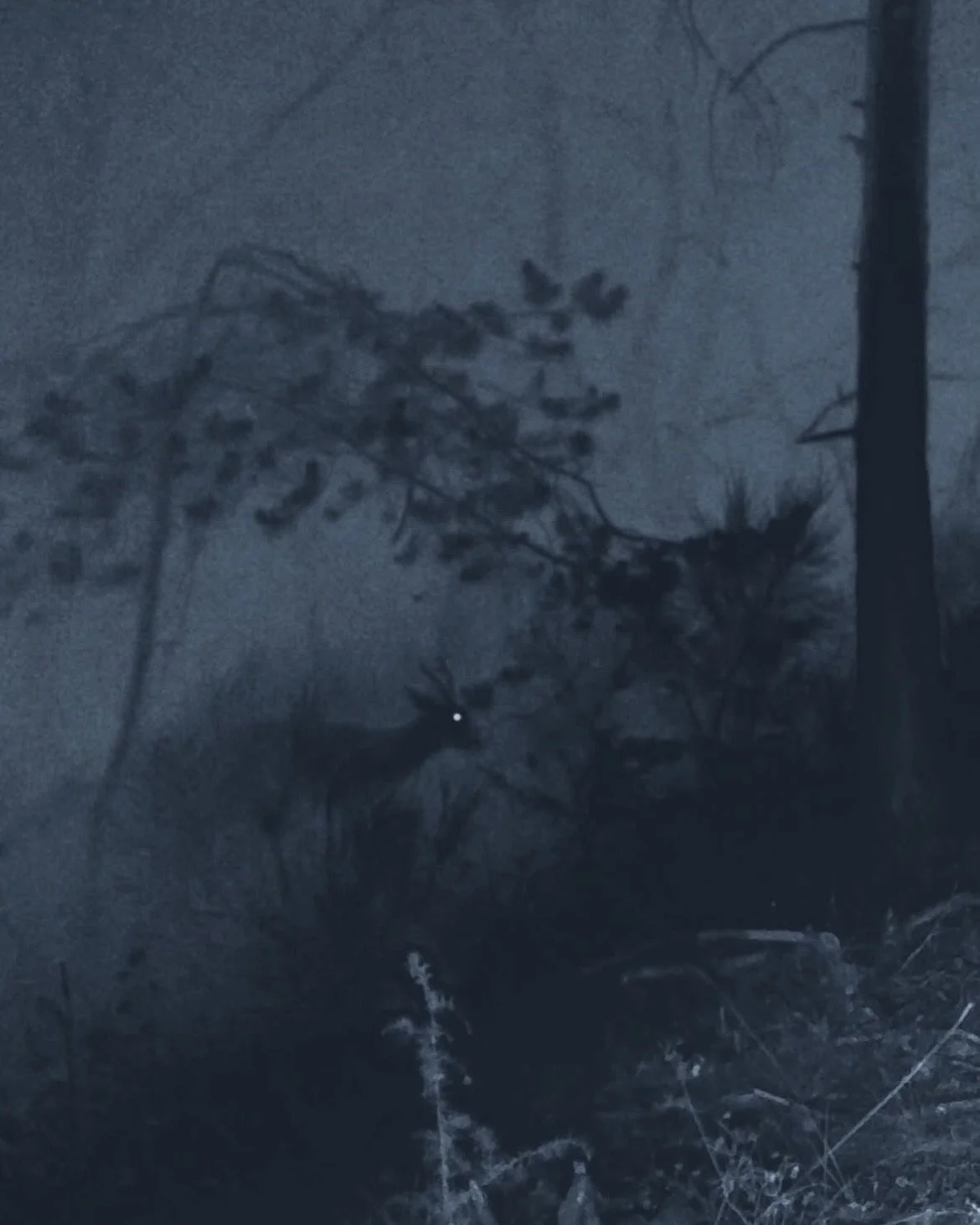 Les Nuits Ouvertes_Léna MARIA_14.jpeg