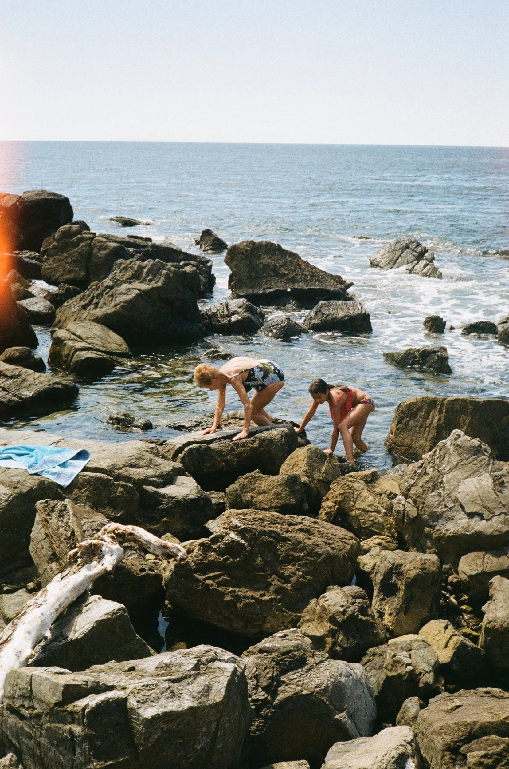 Livornese di scoglio_5.jpg