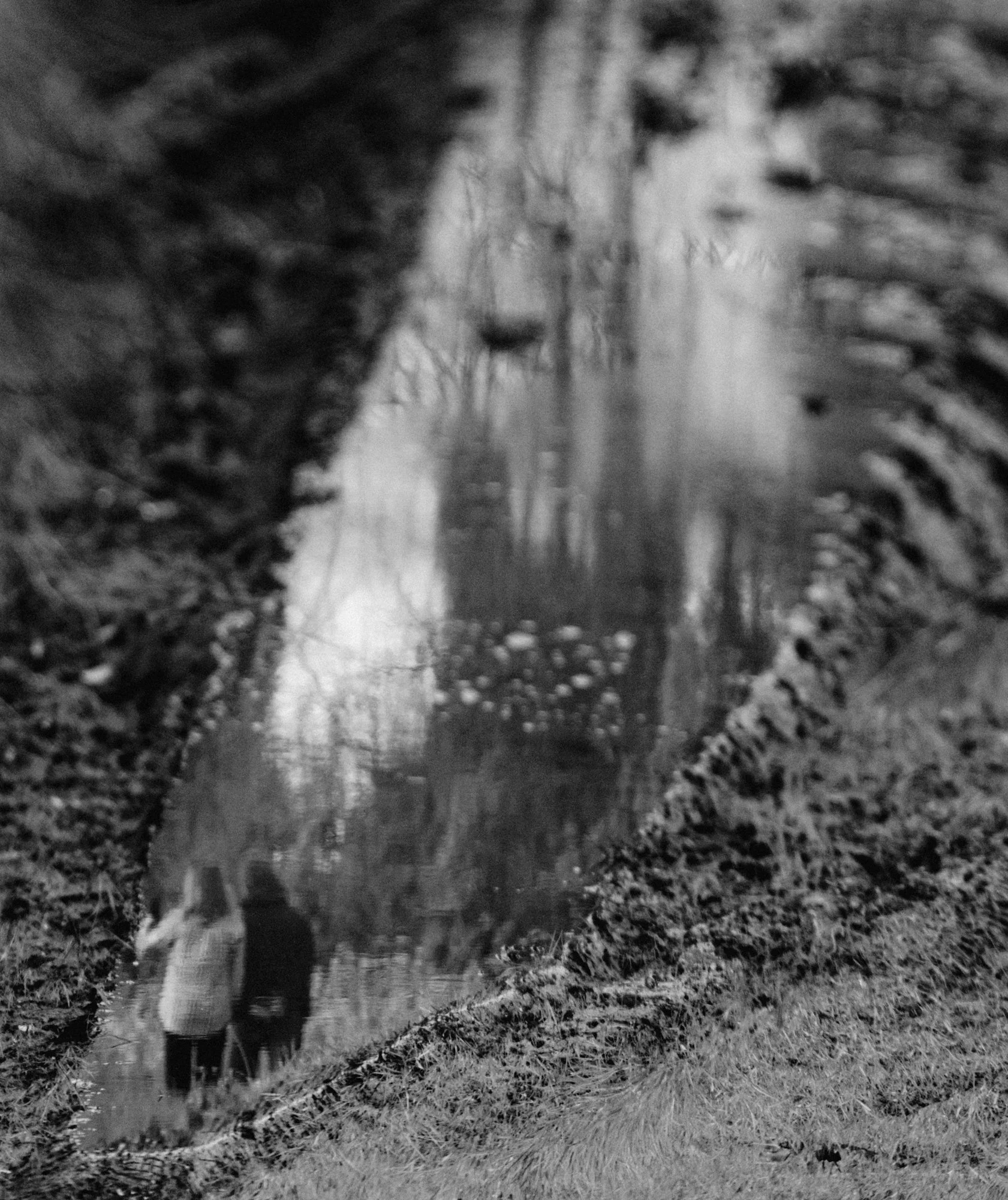 P1010195.jpg