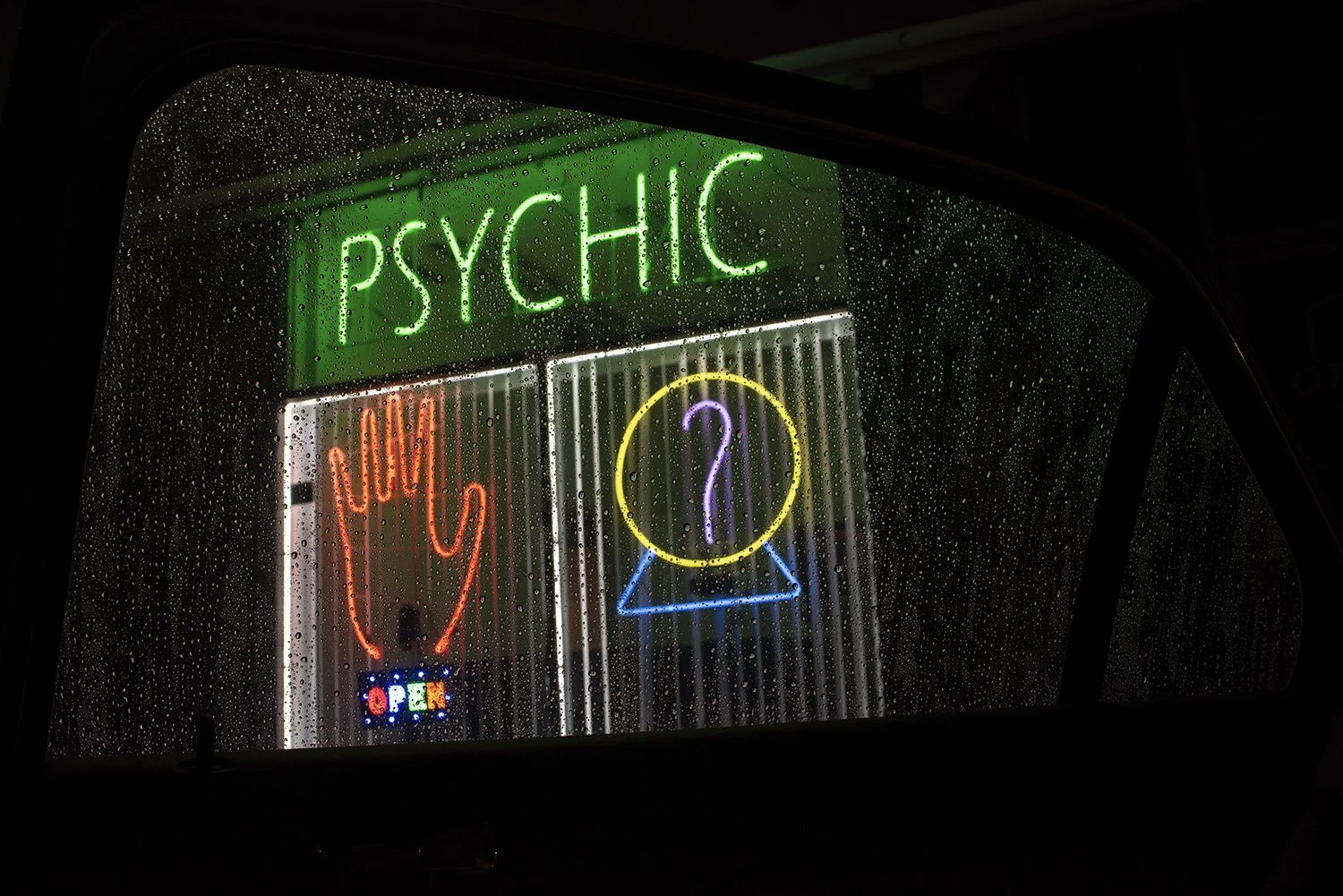 Irene Ferri - No other country but America 4.jpg