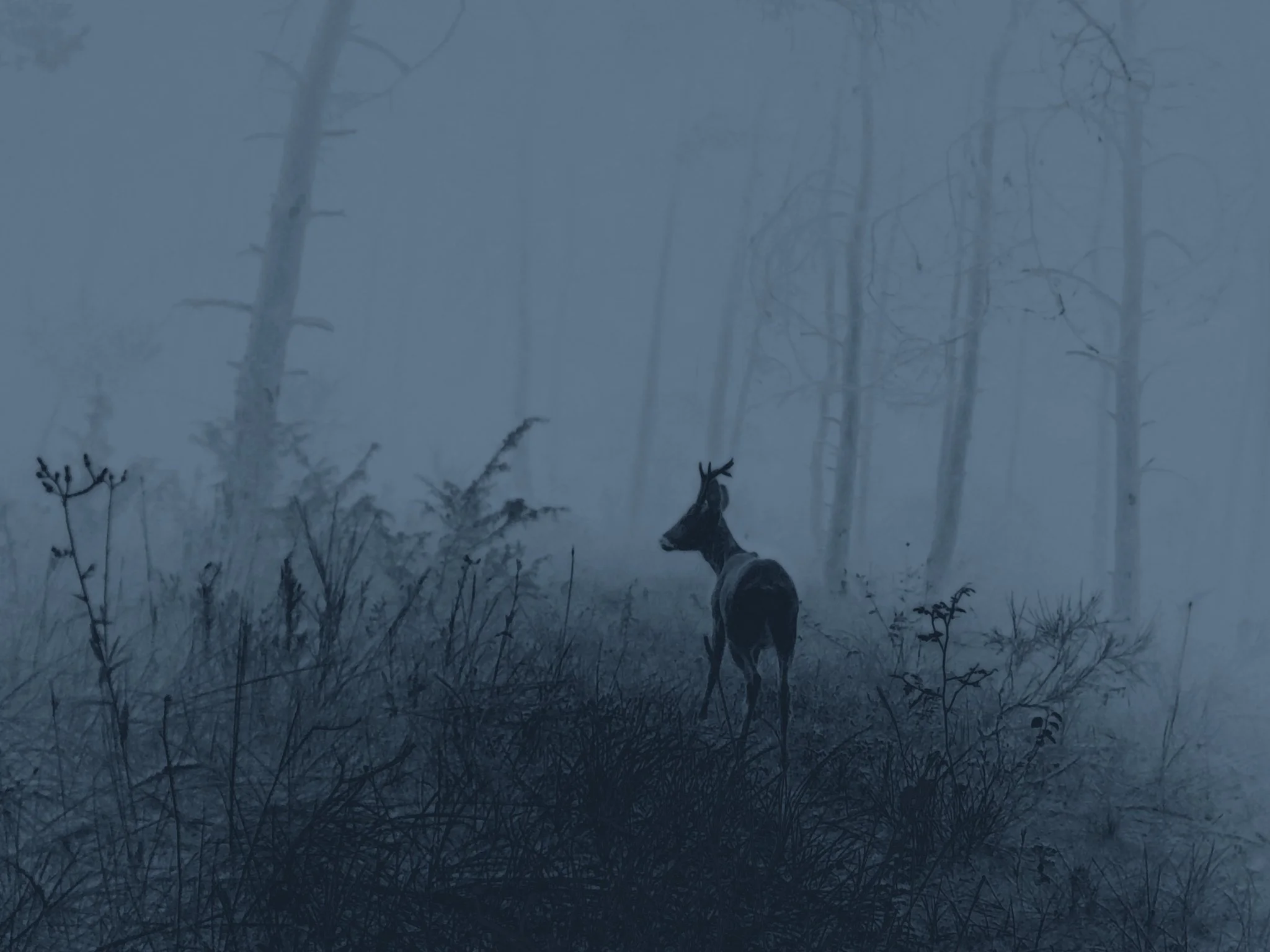 Les Nuits Ouvertes_Léna MARIA_1.jpg