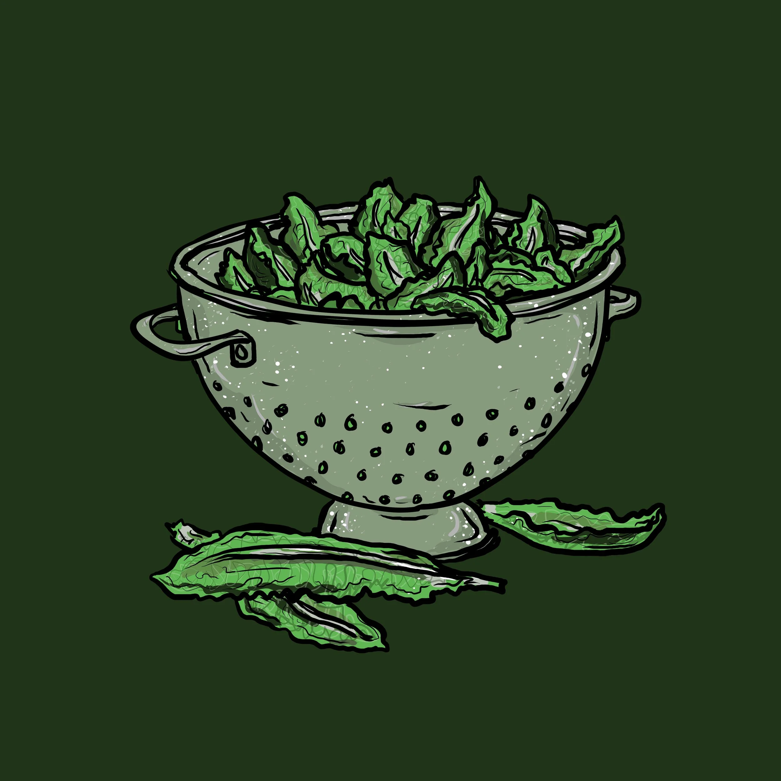 drain1.jpg