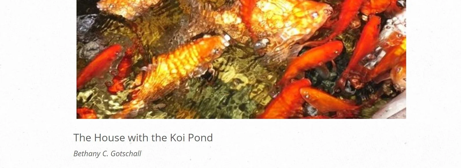 KoiInsta.jpg