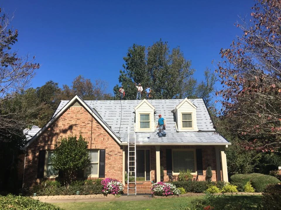 roof6.jpg