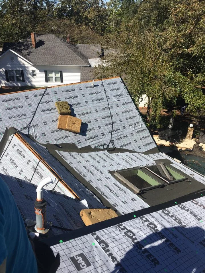 roof7.jpg