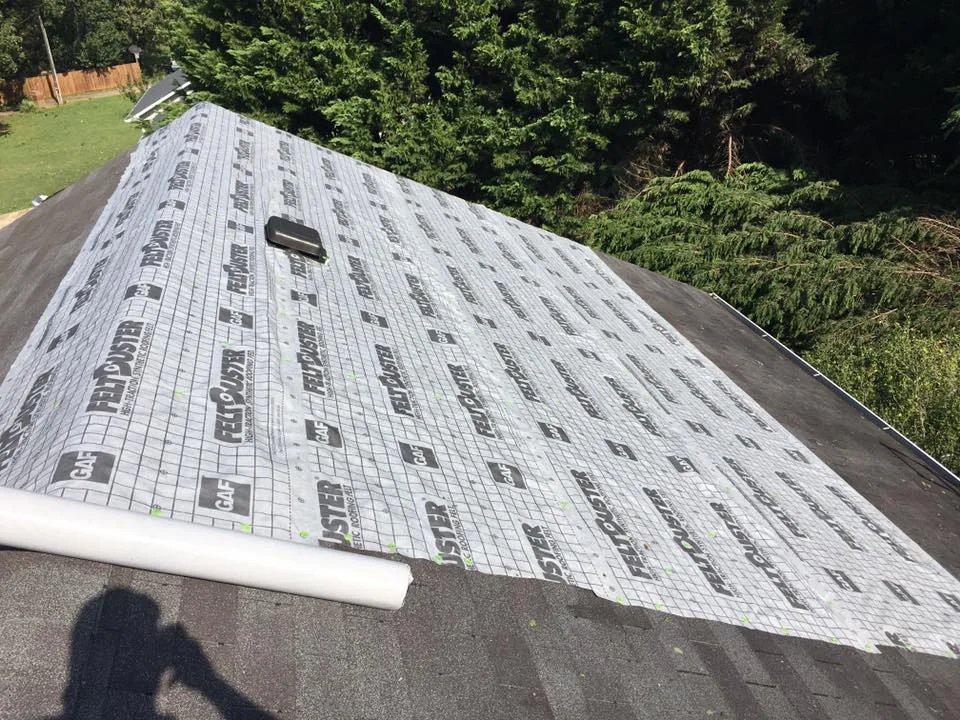 roof18.jpg
