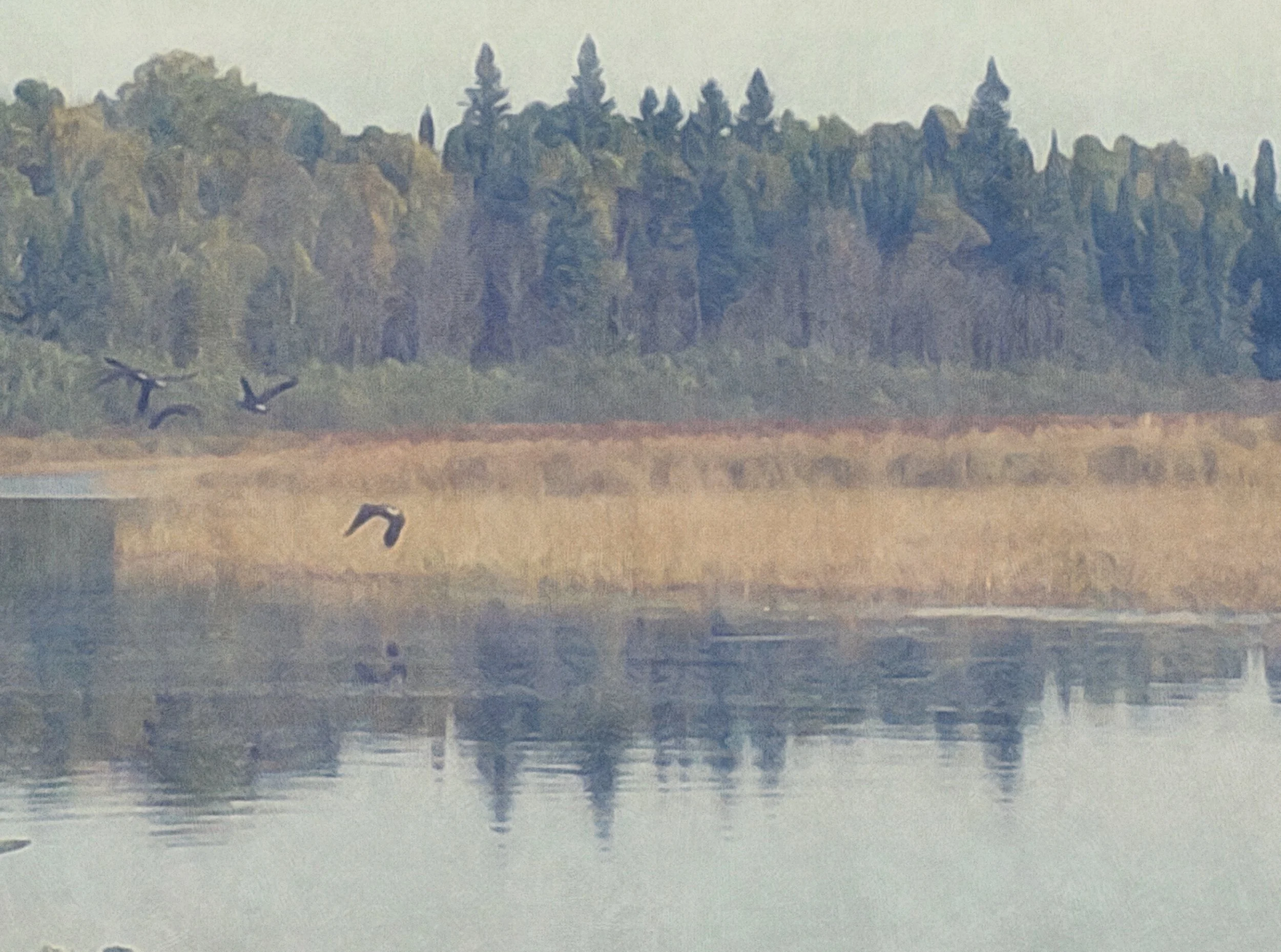 0BA2F43B-DA3E-4A46-BFC1-665EDAC5DEDC-7284-000006358C65C8D0 copy.jpg