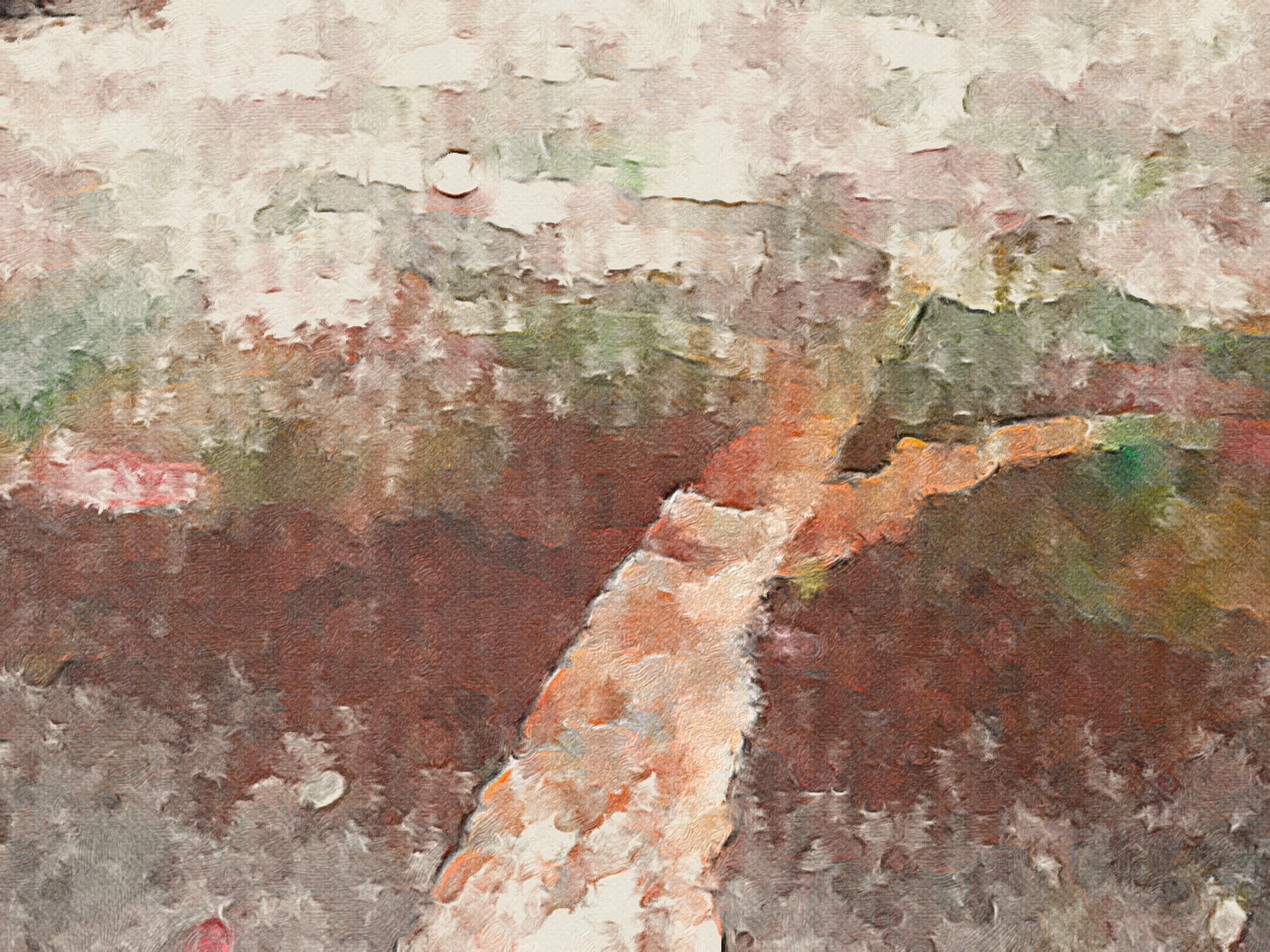 A.E. #046