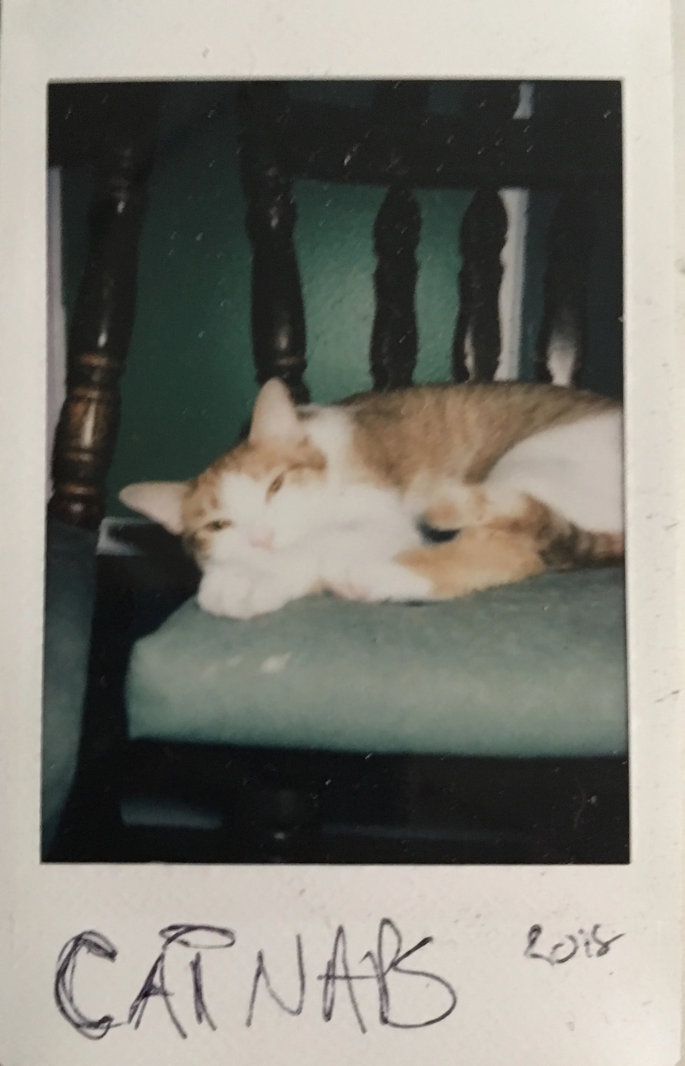 instax mini 24