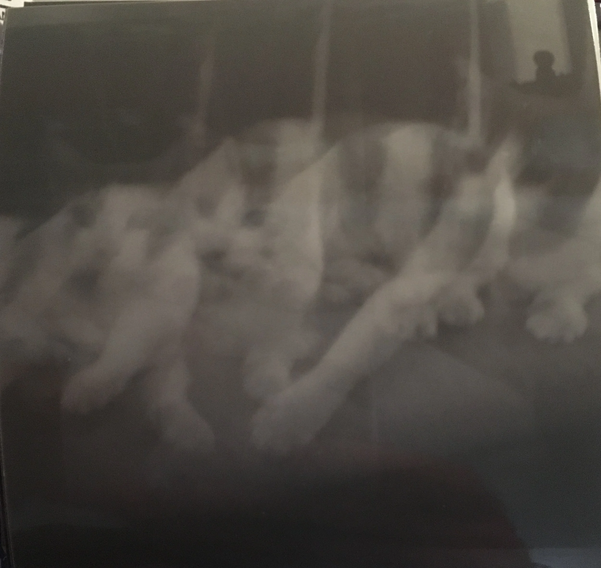 holga 10