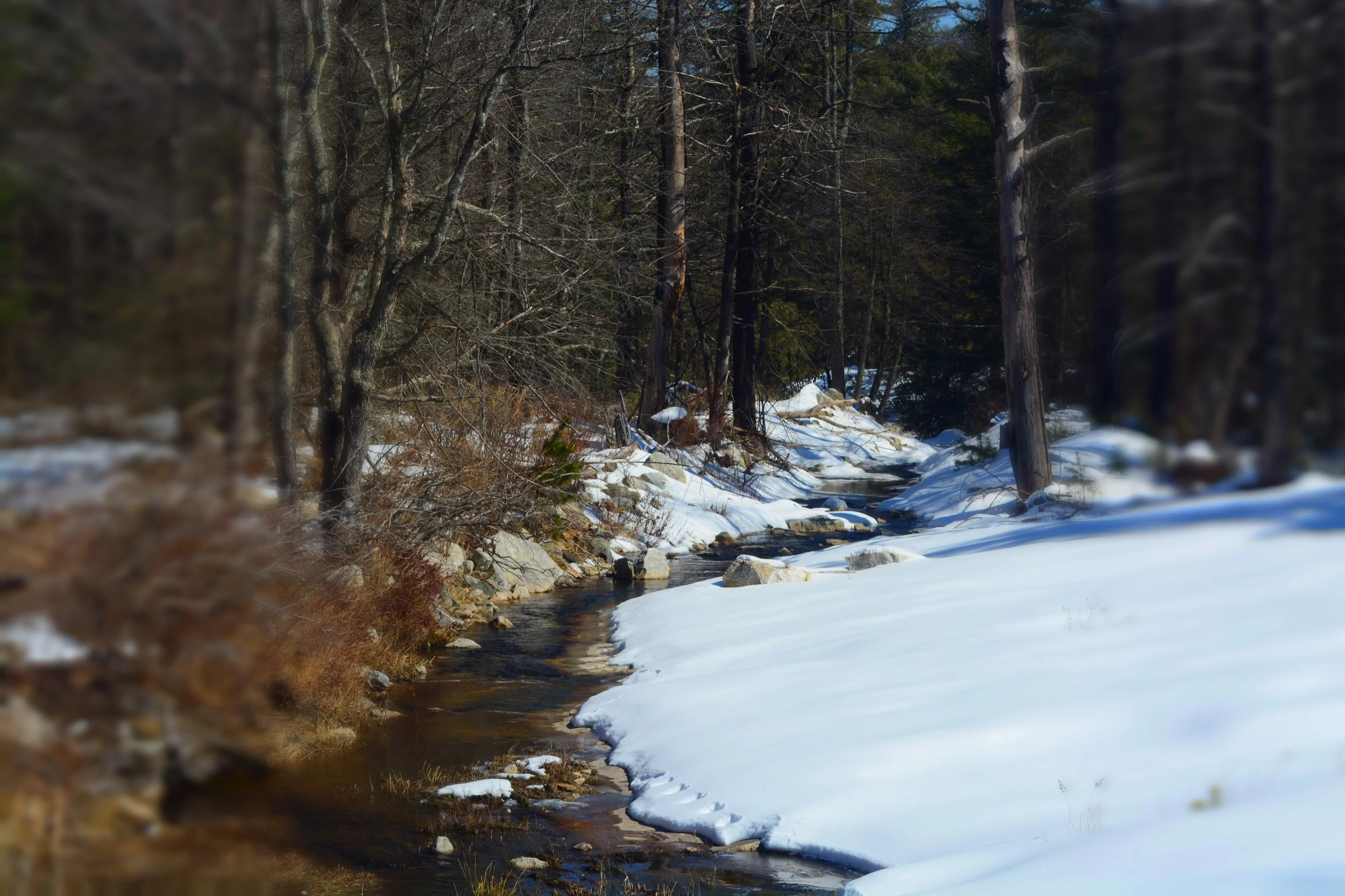 Fly Brook 1