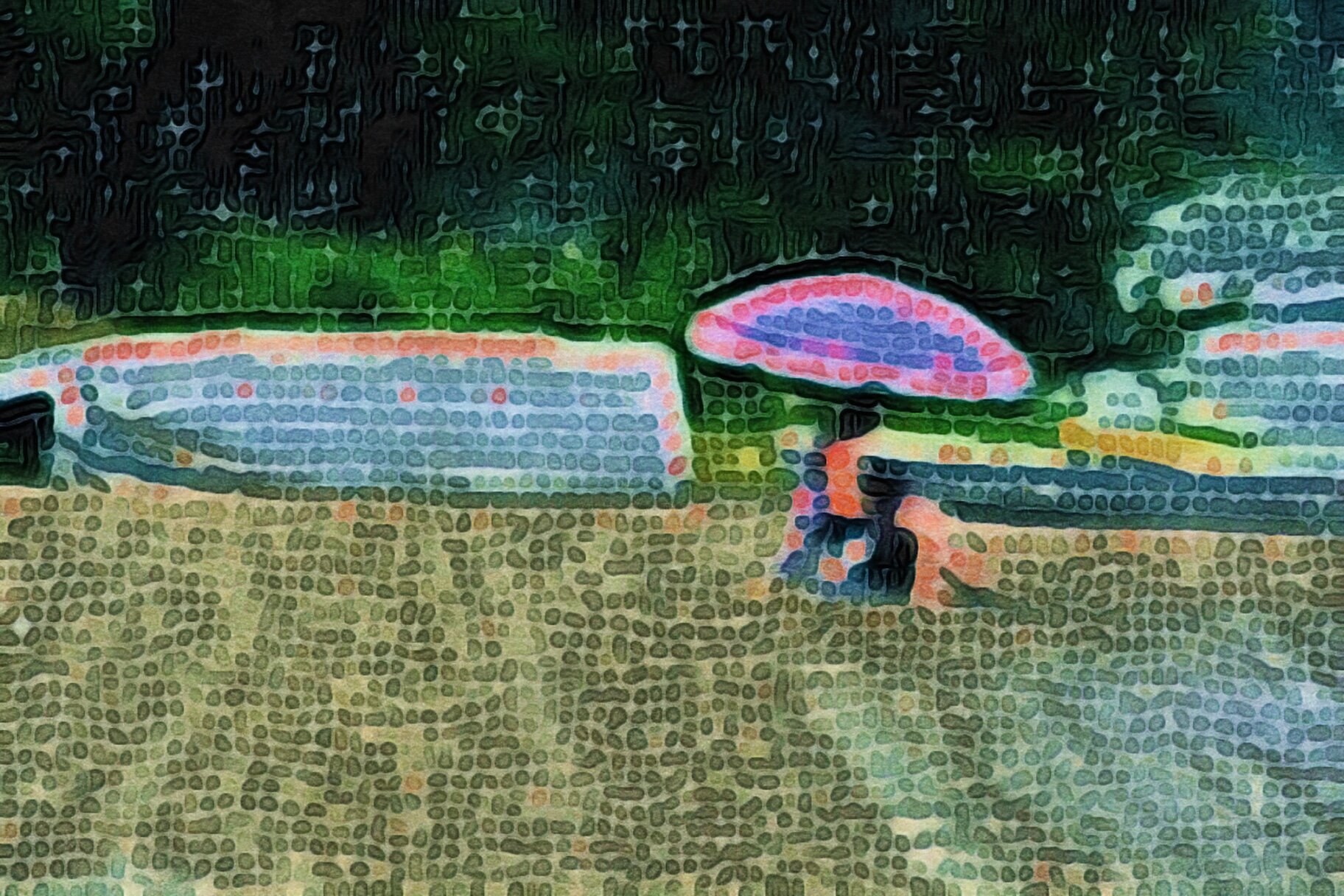 1927A4C7-79BC-4F7C-AC77-86CDFBEF6C60-1649-00000161B0DF3C8E copy.JPG