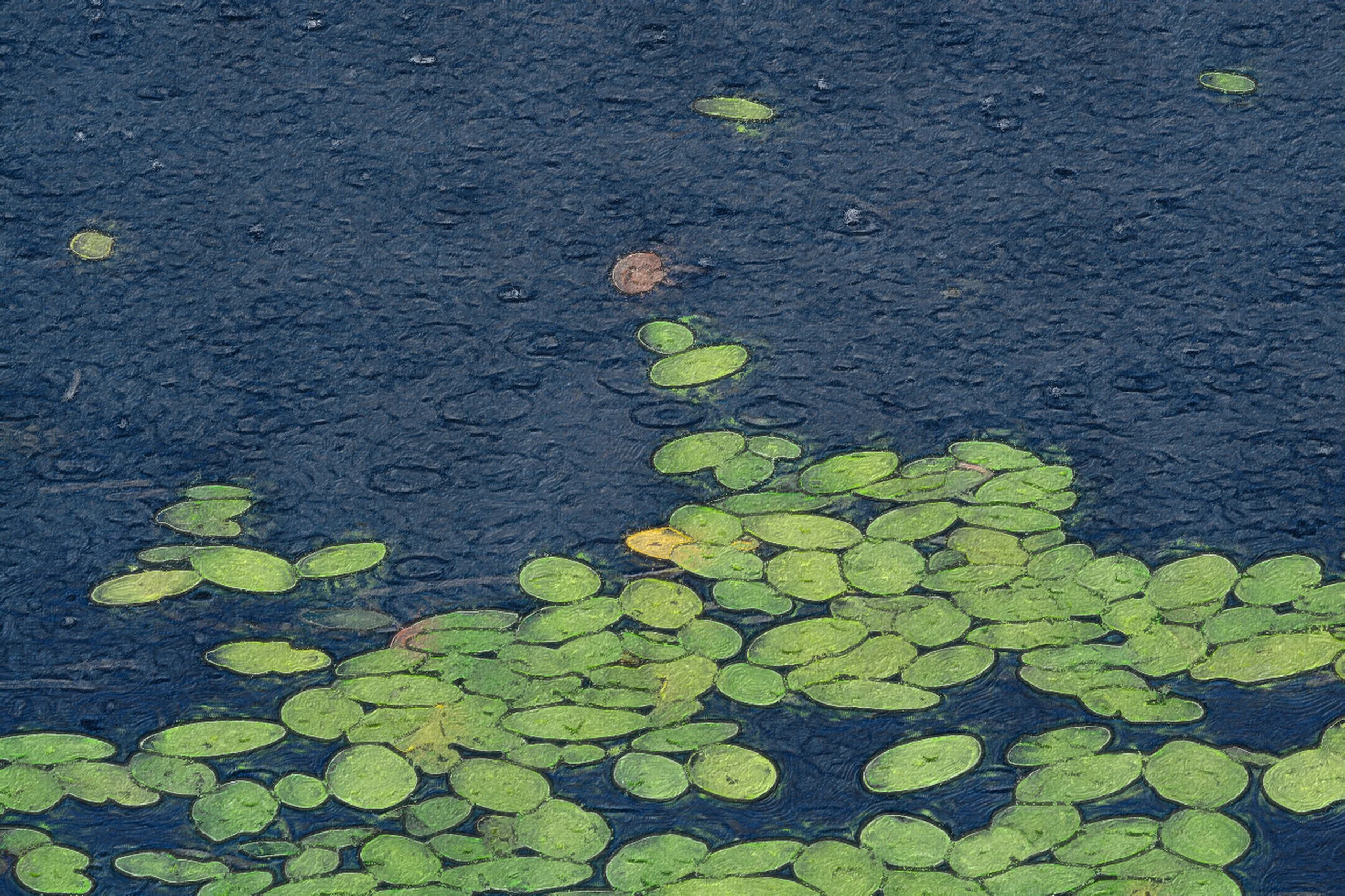 C50915F3-49BD-4BE5-B072-05B98B5D4FAB-2197-000001F3F9E4A36A copy.JPG