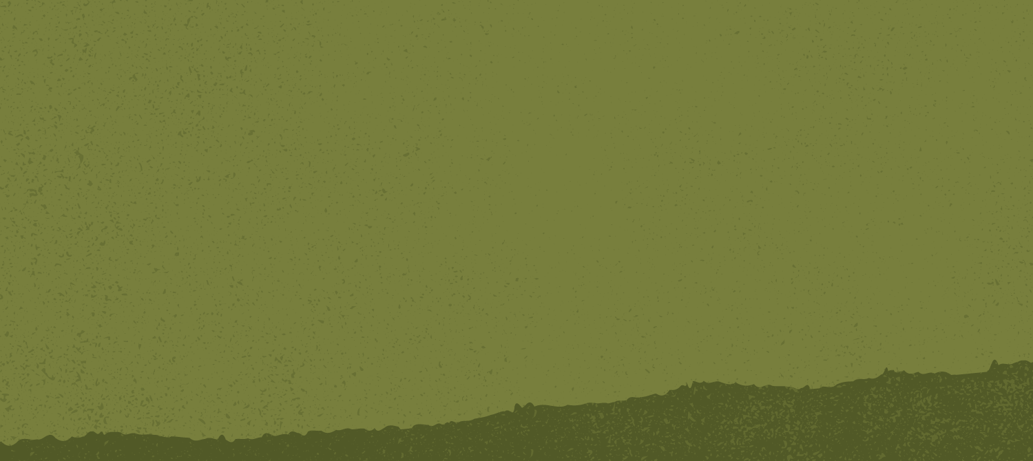 Layer_2.png