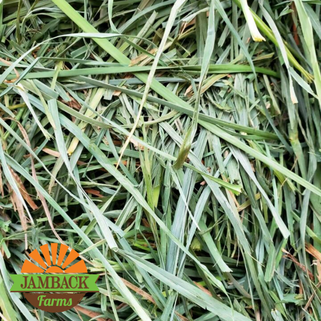 Current Products Jamback Farms Jamback har alltid levererat såväl kreativa som kvalitativa lösningar. current products jamback farms