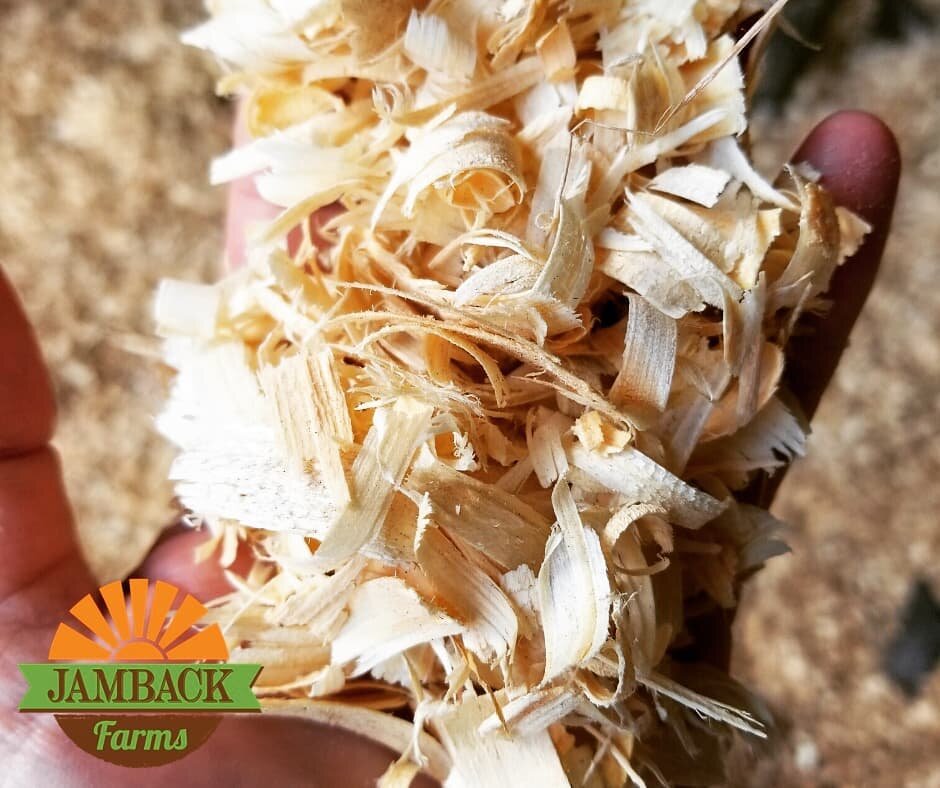 BREAKING NEWS: Jamback Farms now offers shavings by the scoop for $27! Bring your truck or trailer! 1 scoop = 7 bags from the farm store. Our shavings are kiln dried white pine. They are low dust and guaranteed to be hardwood and metal free. We are i