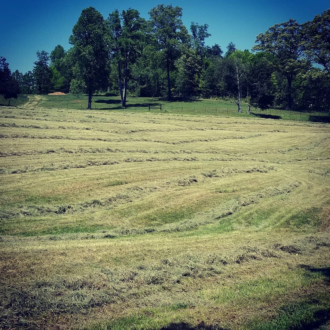 Getting hay in! #jambackfarms #haylife #familyowned #haybales #forage