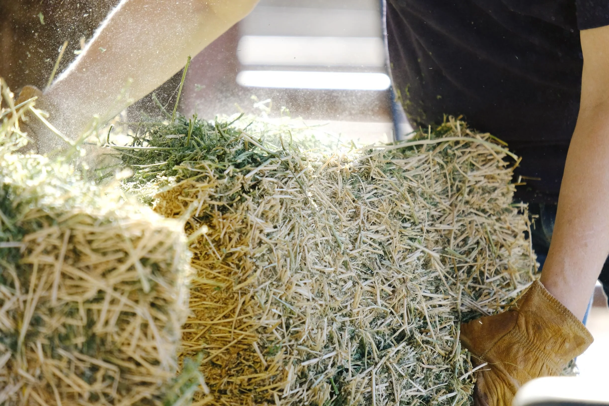 Types of Hays and When to Use Them Jamback Farms