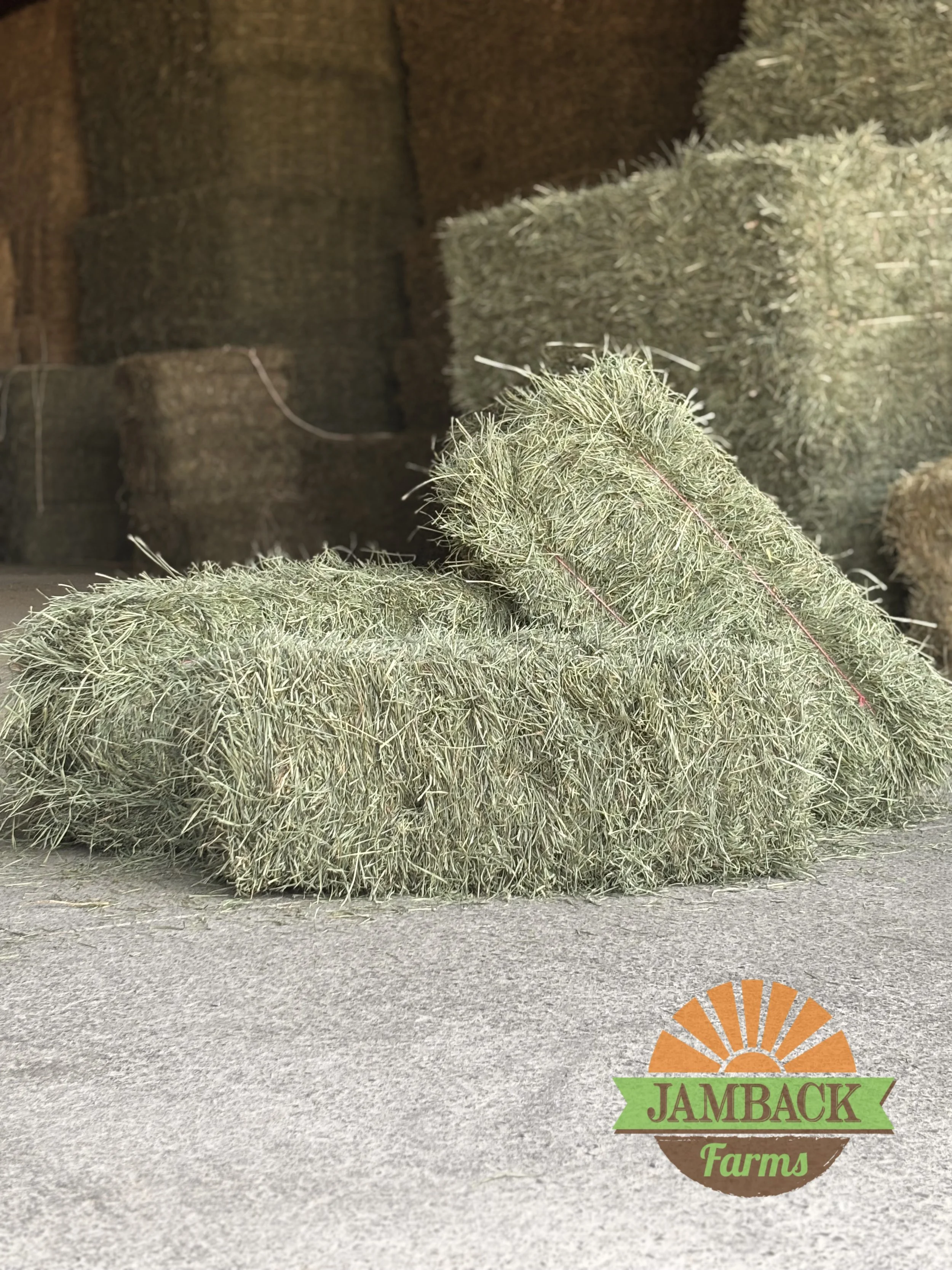 Weight Control Through Forage Management