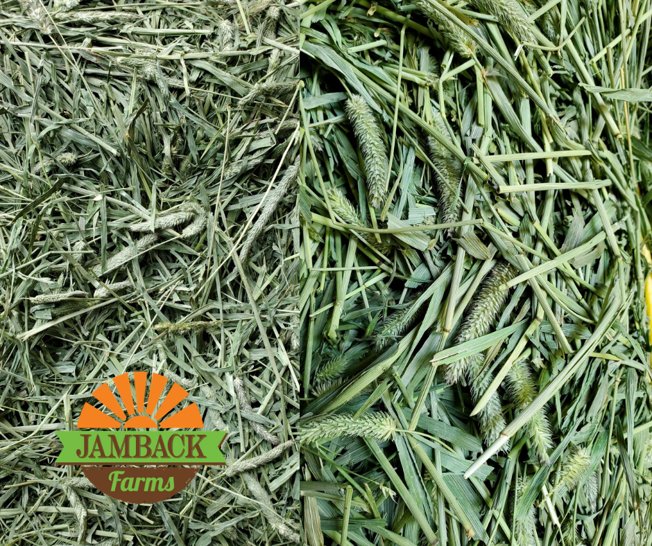 Supporting Hard Keepers with Better Forage